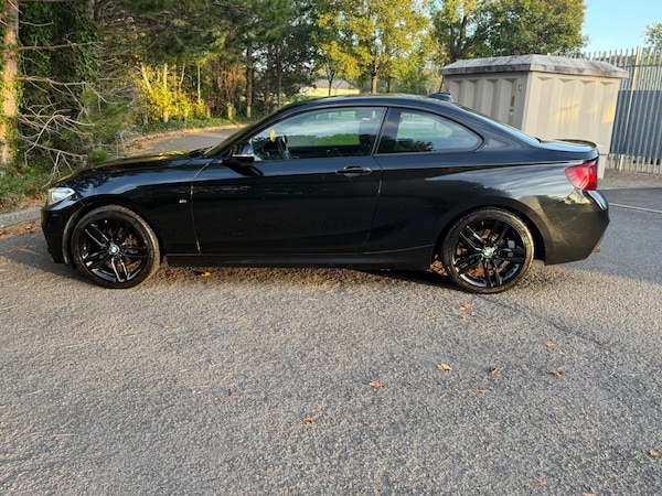 Used BMW 2 Series 2016 for sale - 76239810: Photo 10