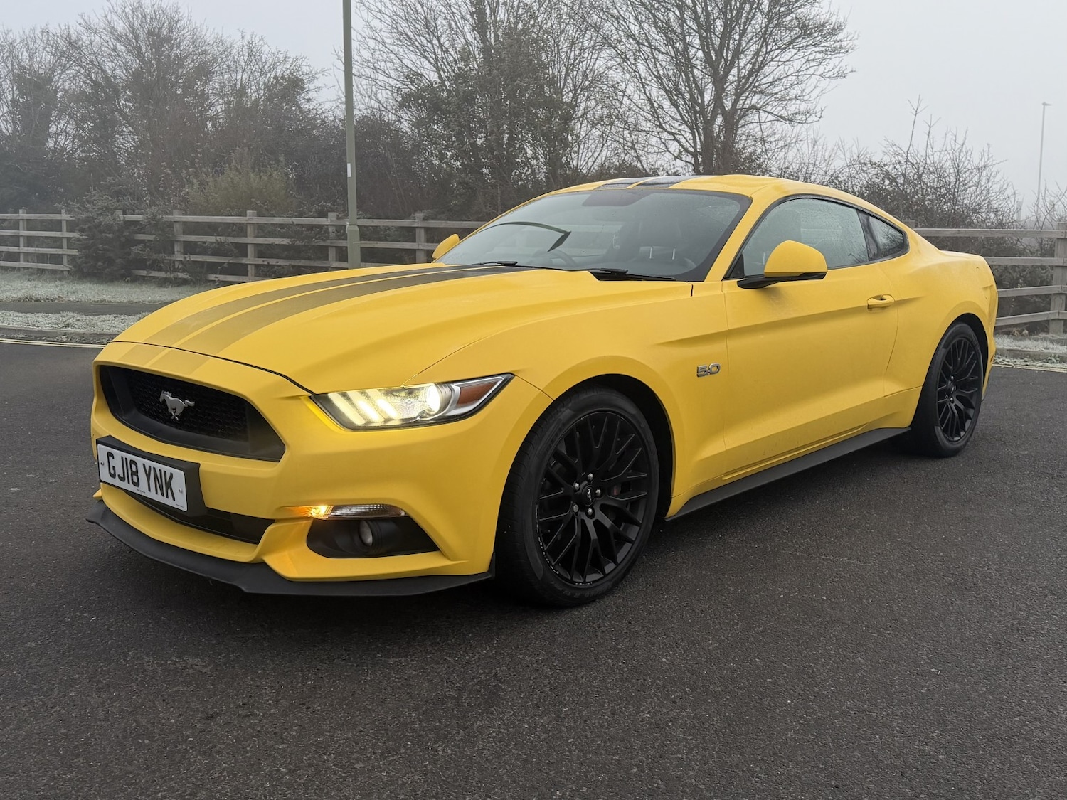 Used Ford Mustang 2018 for sale - 77113127: Photo 7