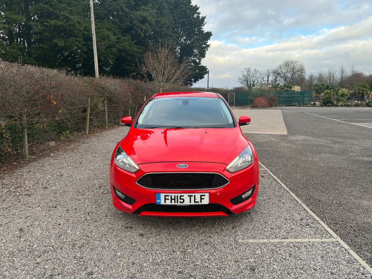 Used Ford Focus 2015 for sale - 76906383: Photo 3