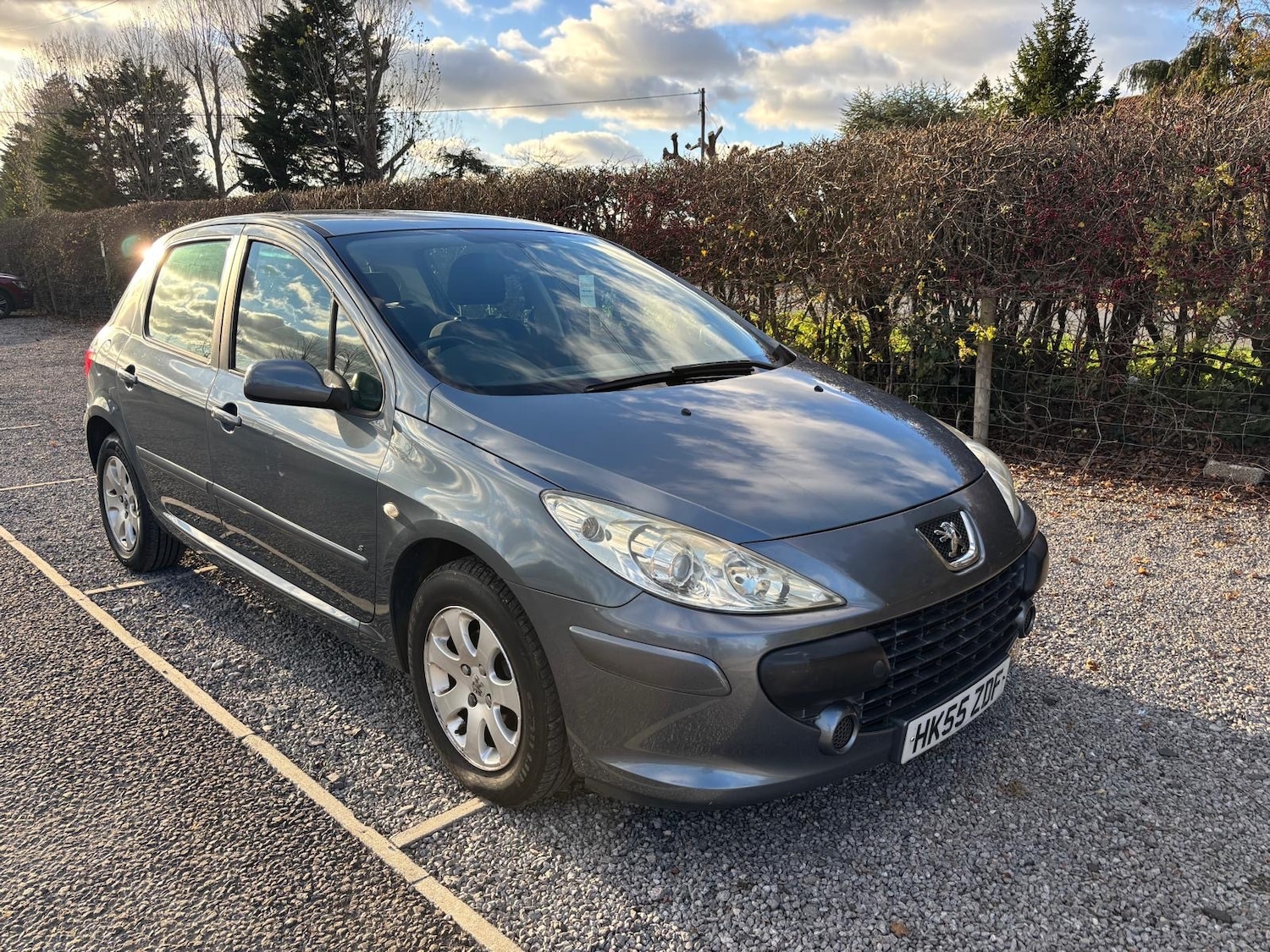 Used Peugeot 307 2006 for sale - 76640458: Photo 10