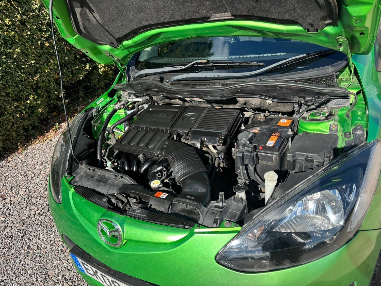 Vehicle 7