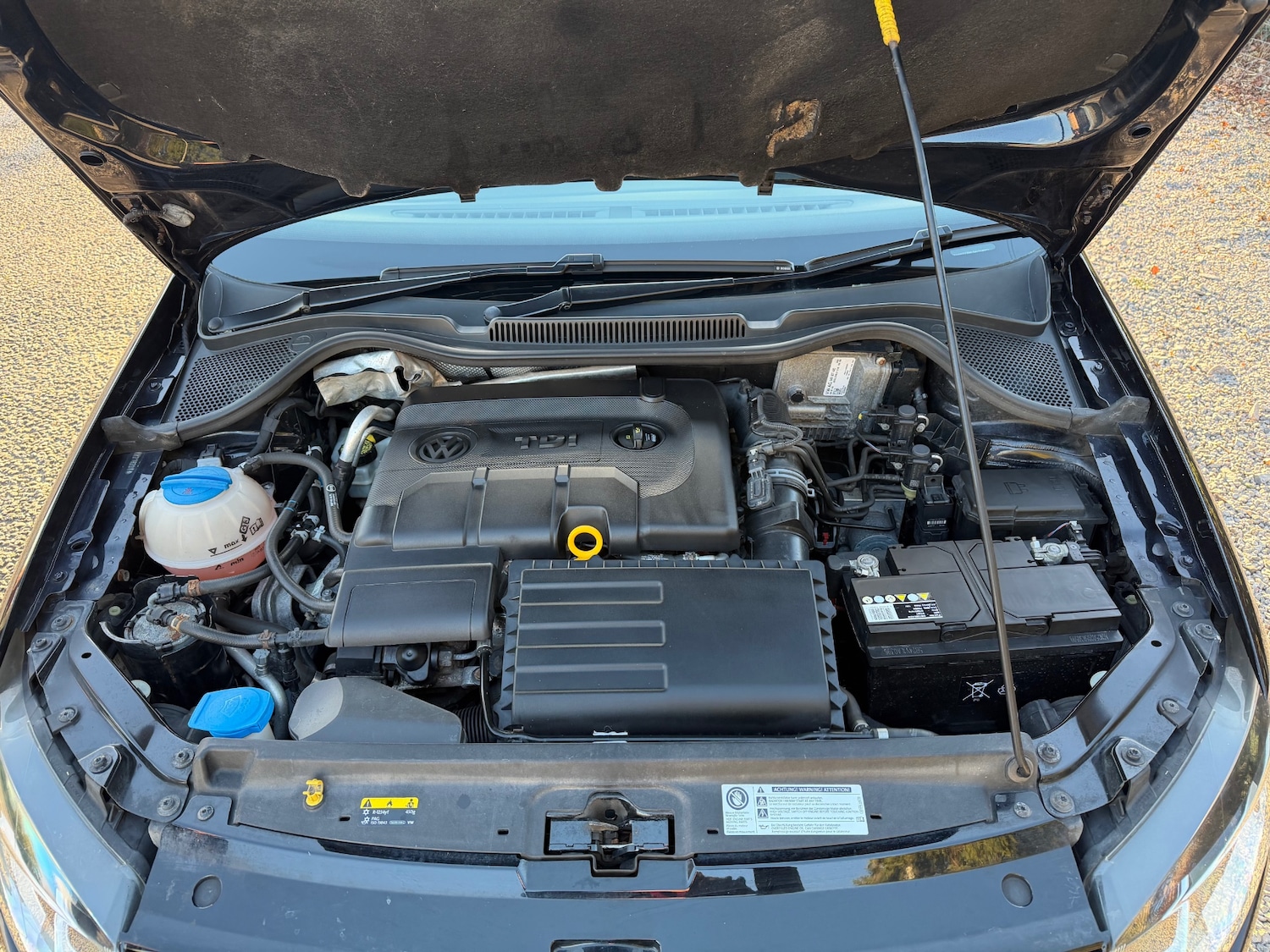 Used Volkswagen Polo 2017 for sale - 76697311: Photo 12