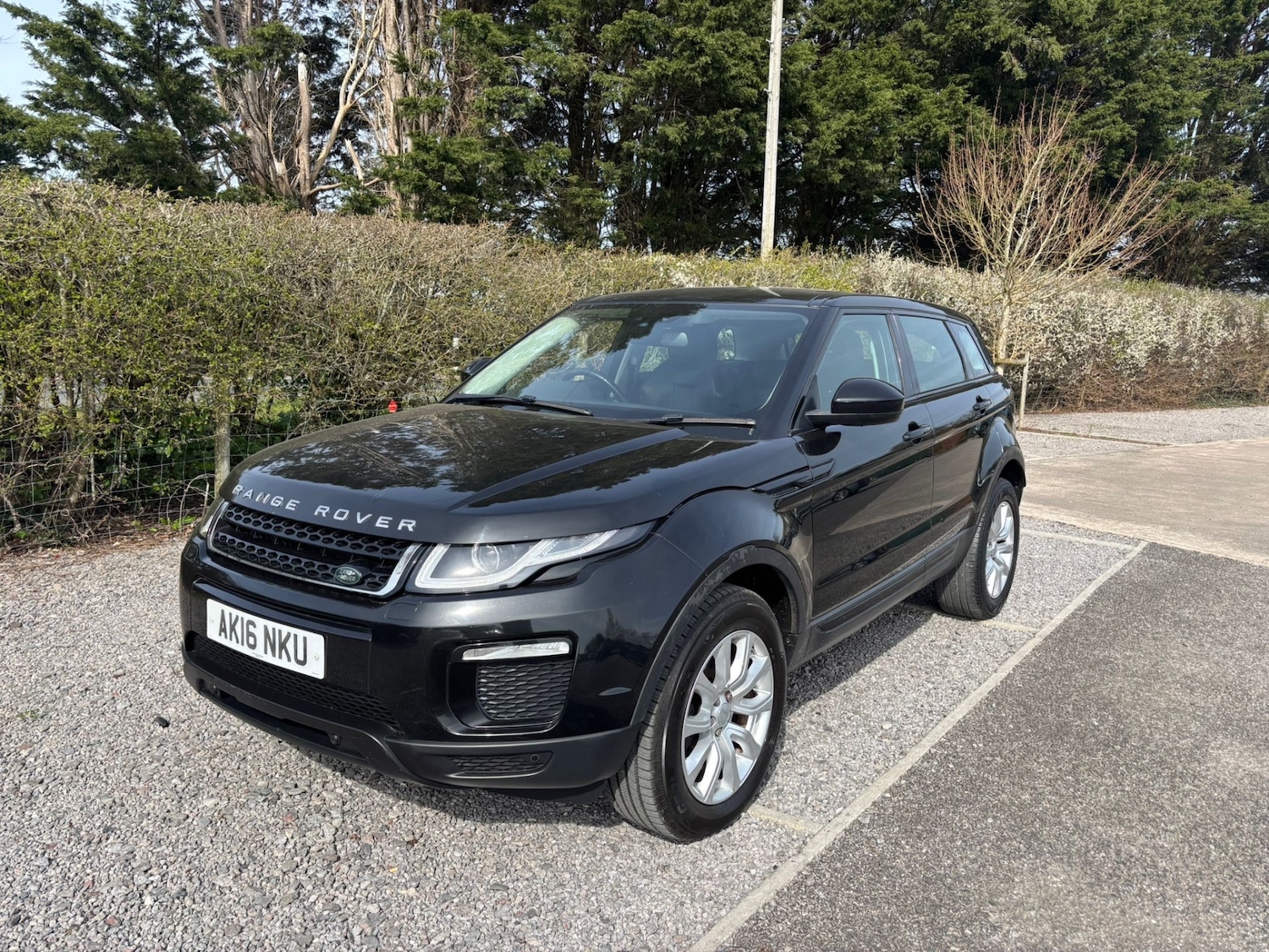 Used Land Rover Range Rover Evoque 2016 for sale - 77963673: Photo 12