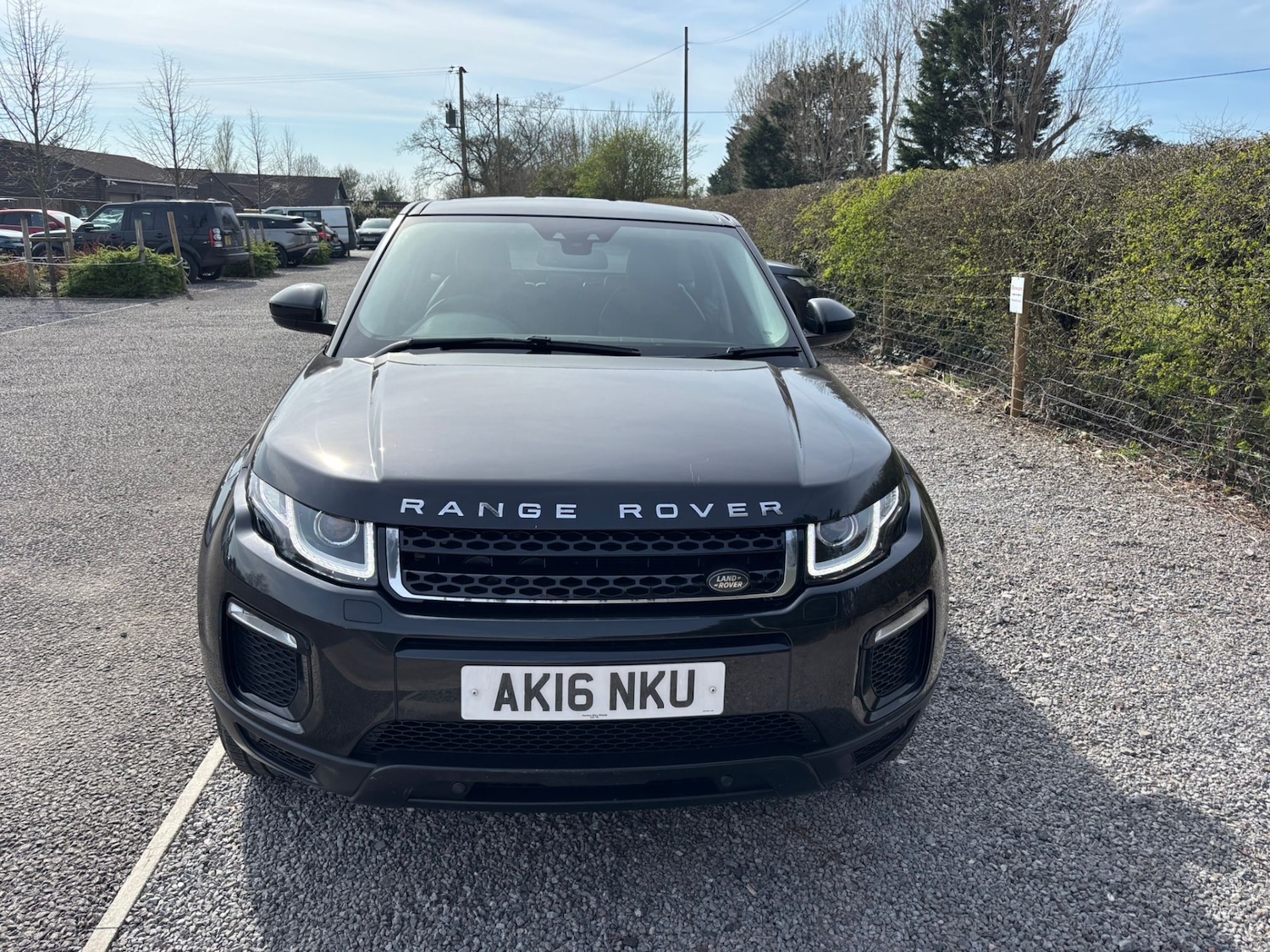 Used Land Rover Range Rover Evoque 2016 for sale - 77963673: Photo 3