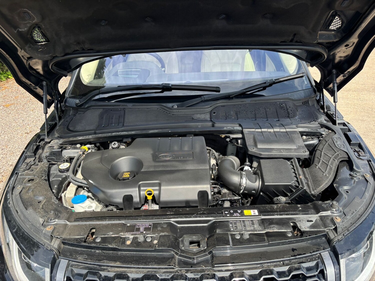 Used Land Rover Range Rover Evoque 2015 for sale - 77352234: Photo 6