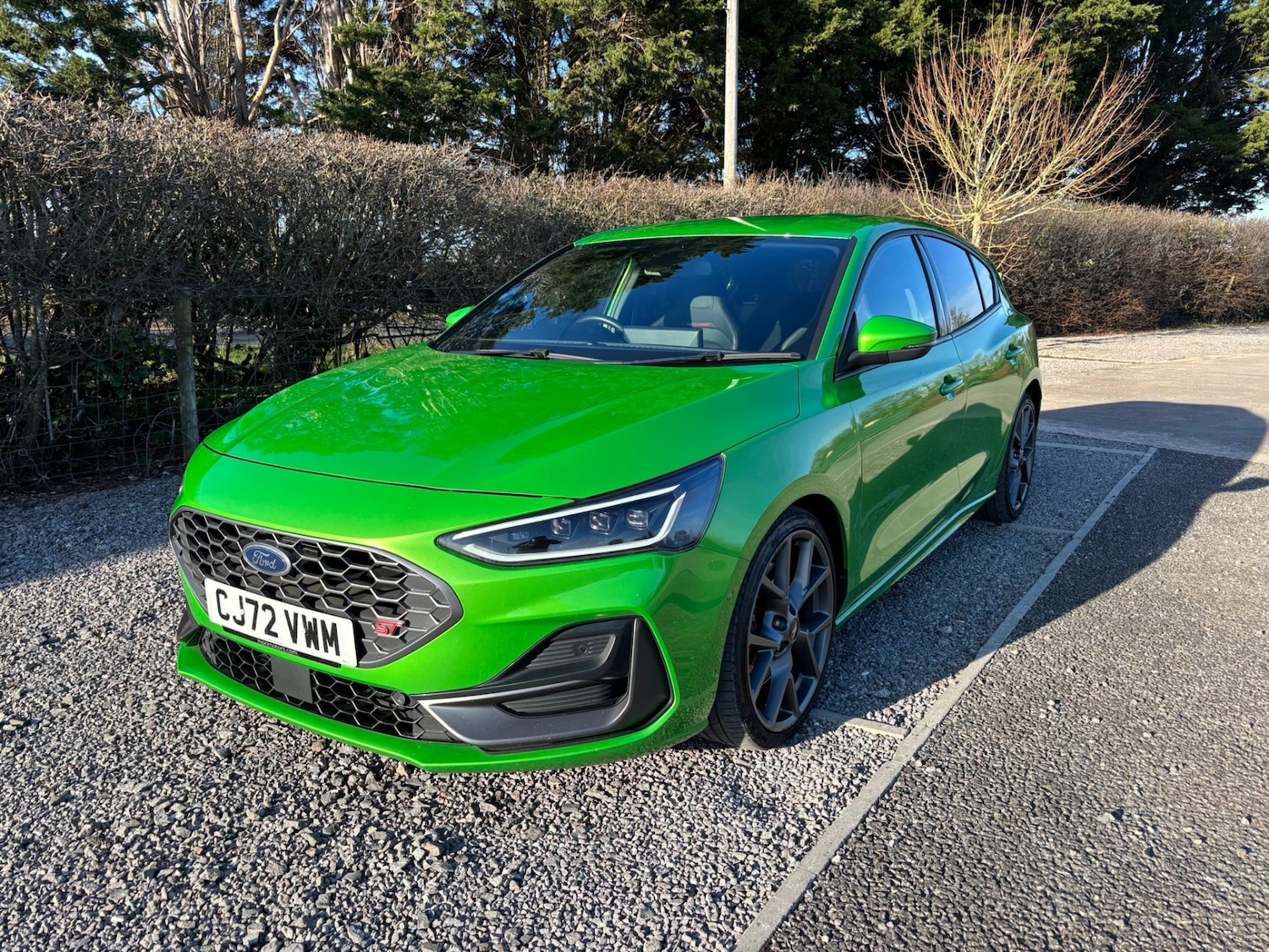 Used Ford Focus 2023 for sale - 77716236: Photo 13