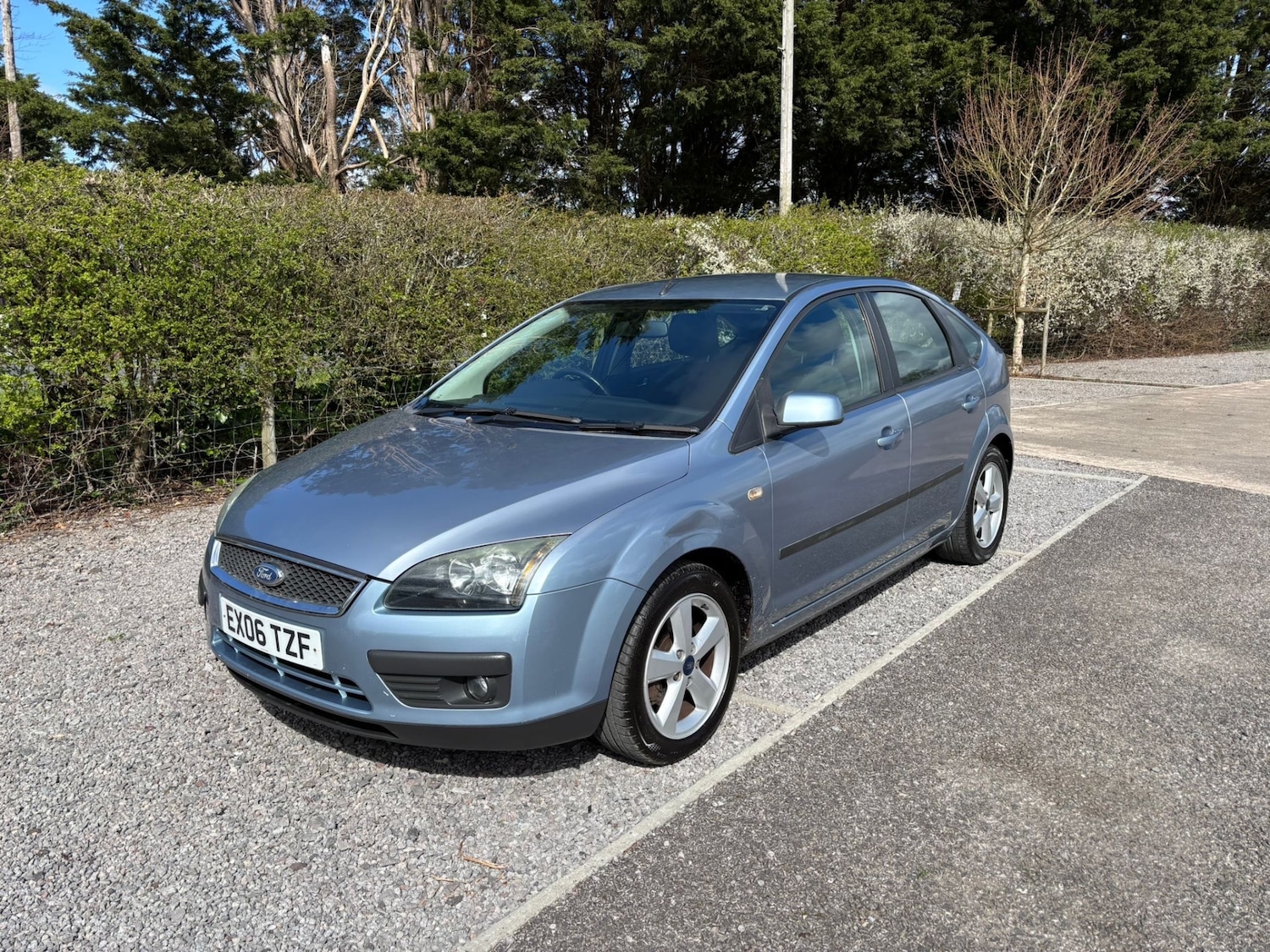 Used Ford Focus 2006 for sale - 78013019: Photo 12