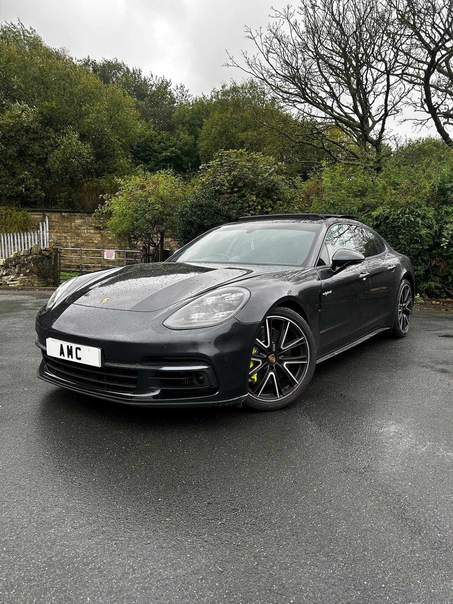 Used Porsche Panamera 2018 for sale - 77781832: Photo 13