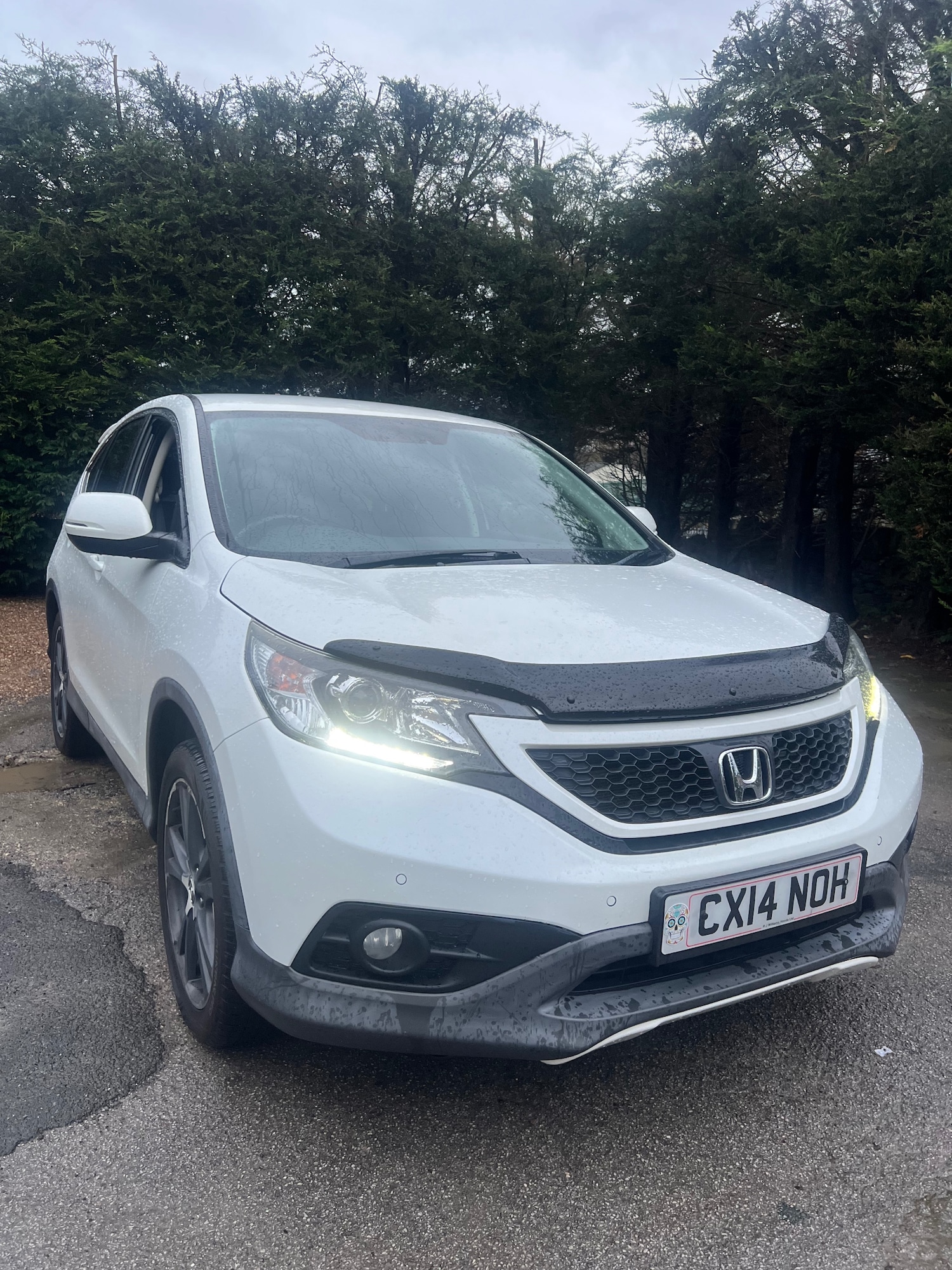 Used Honda CR-V 2014 for sale - 76599977: Photo 1