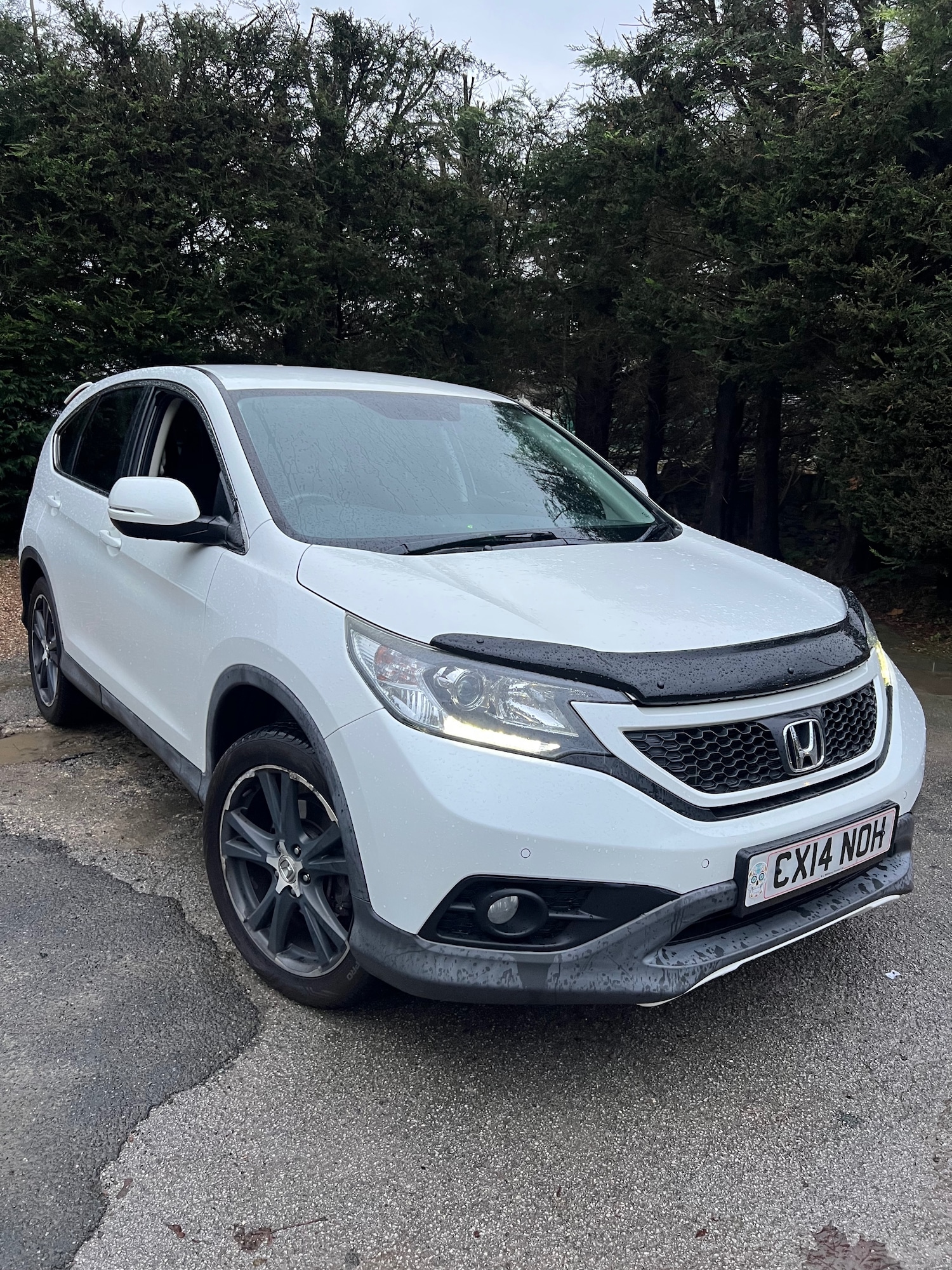 Used Honda CR-V 2014 for sale - 76599977: Photo 11