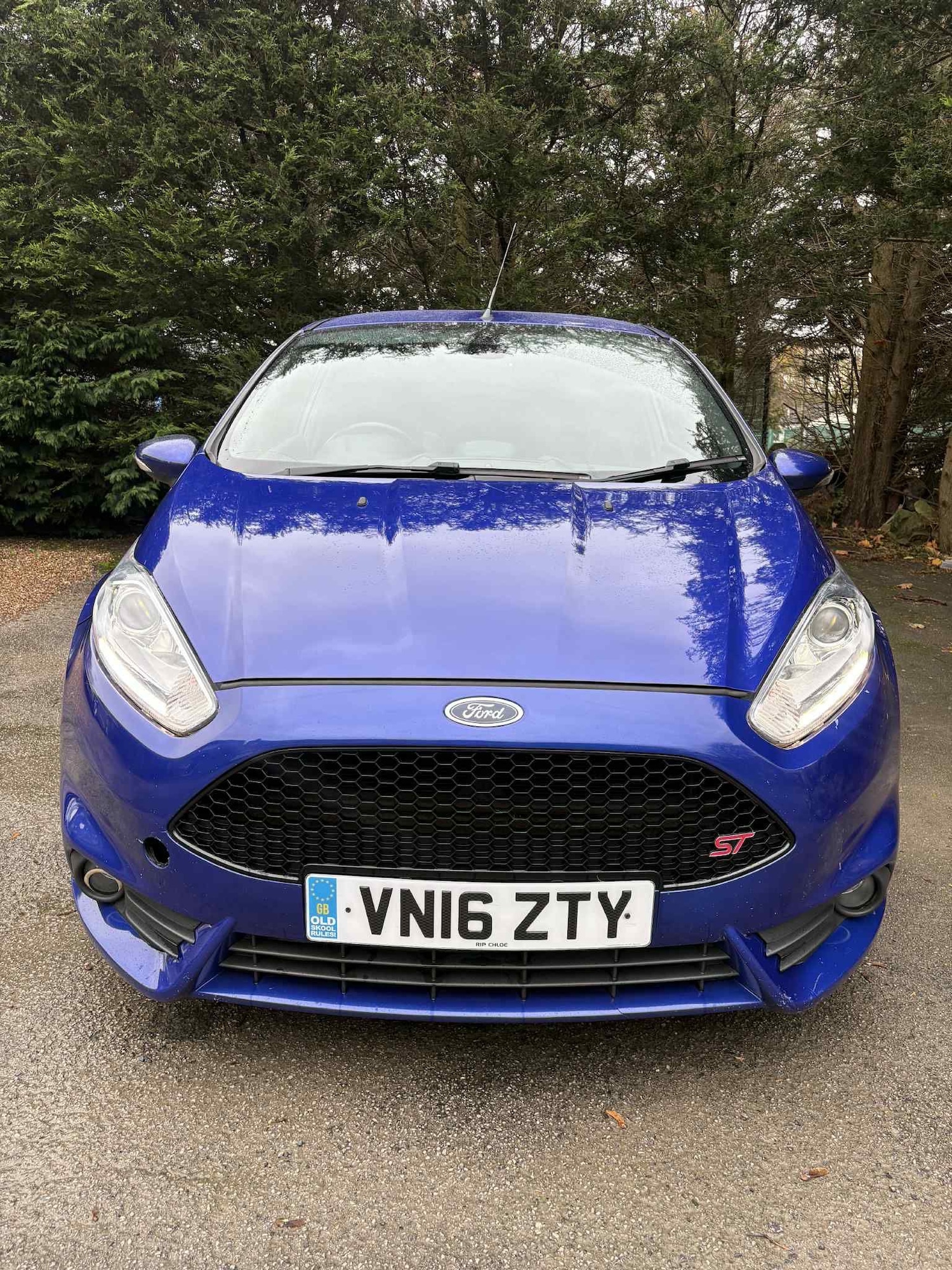 Used Ford Fiesta 2016 for sale - 77781575: Photo 3