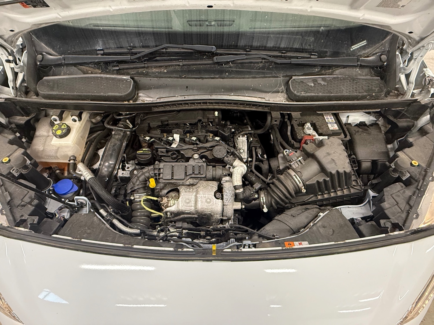 Used Ford Transit Connect 2023 for sale - 77370442: Photo 12