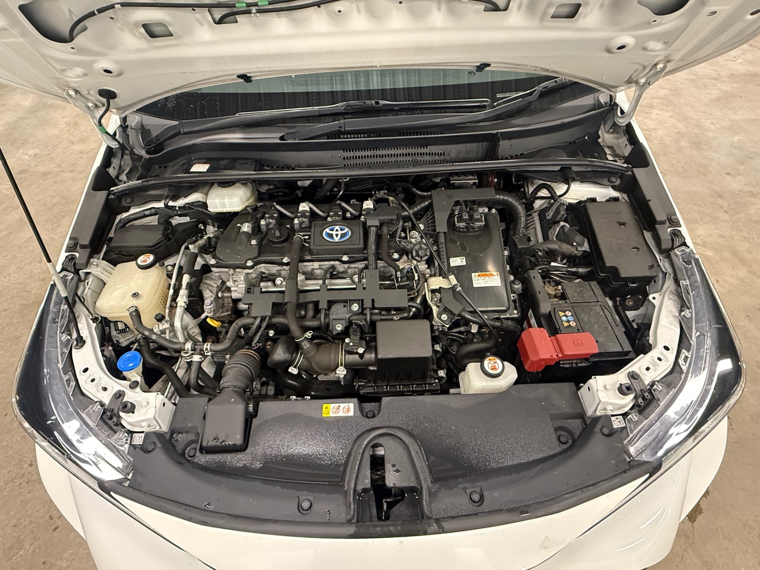 Used Toyota Corolla 2019 for sale - 77423834: Photo 10