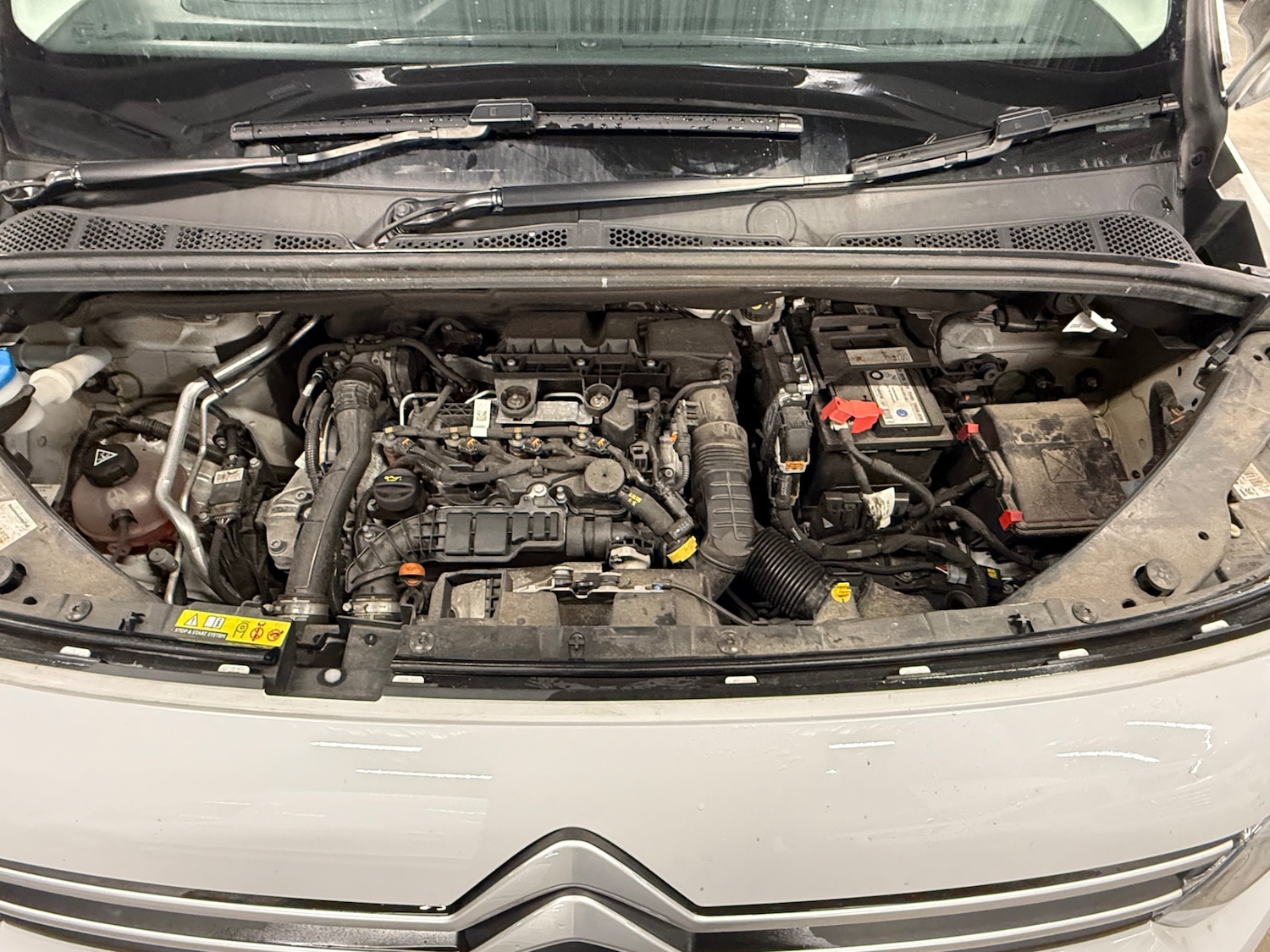 Used Citroen Berlingo 2024 for sale - 77264757: Photo 12