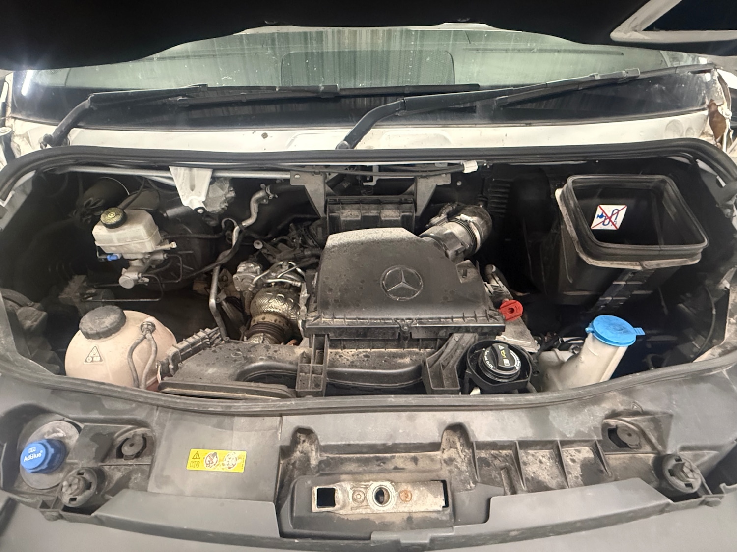 Used Mercedes-Benz Sprinter 2023 for sale - 77357229: Photo 12