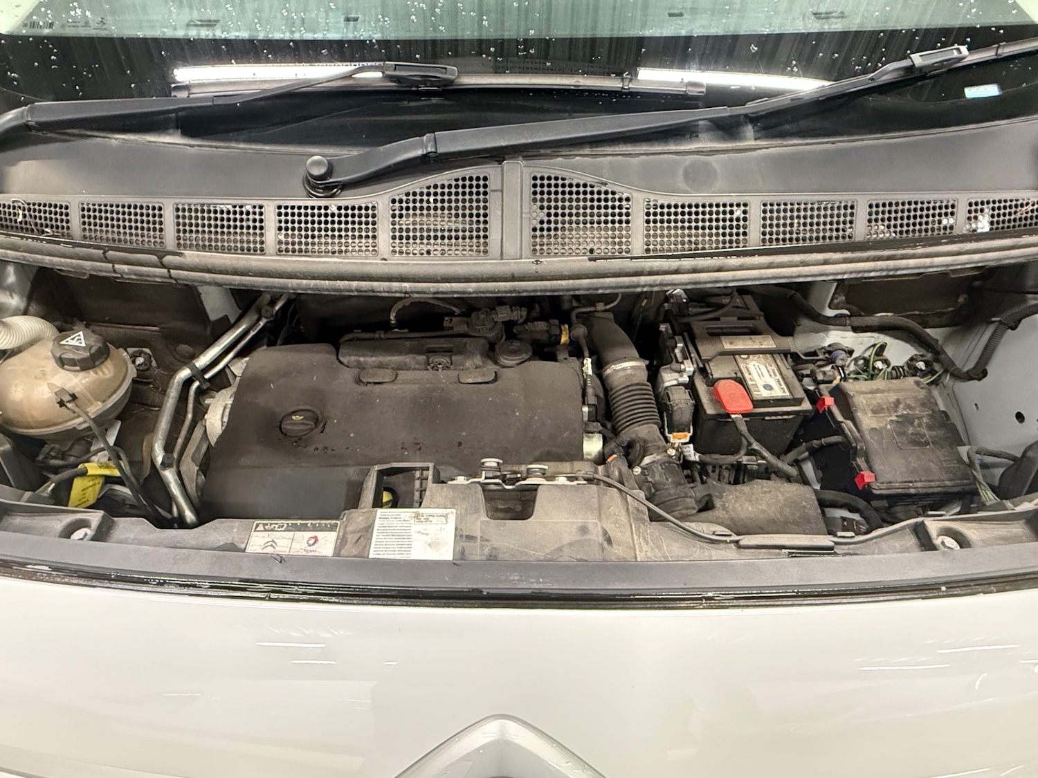 Used Citroen Dispatch 2023 for sale - 78046055: Photo 13