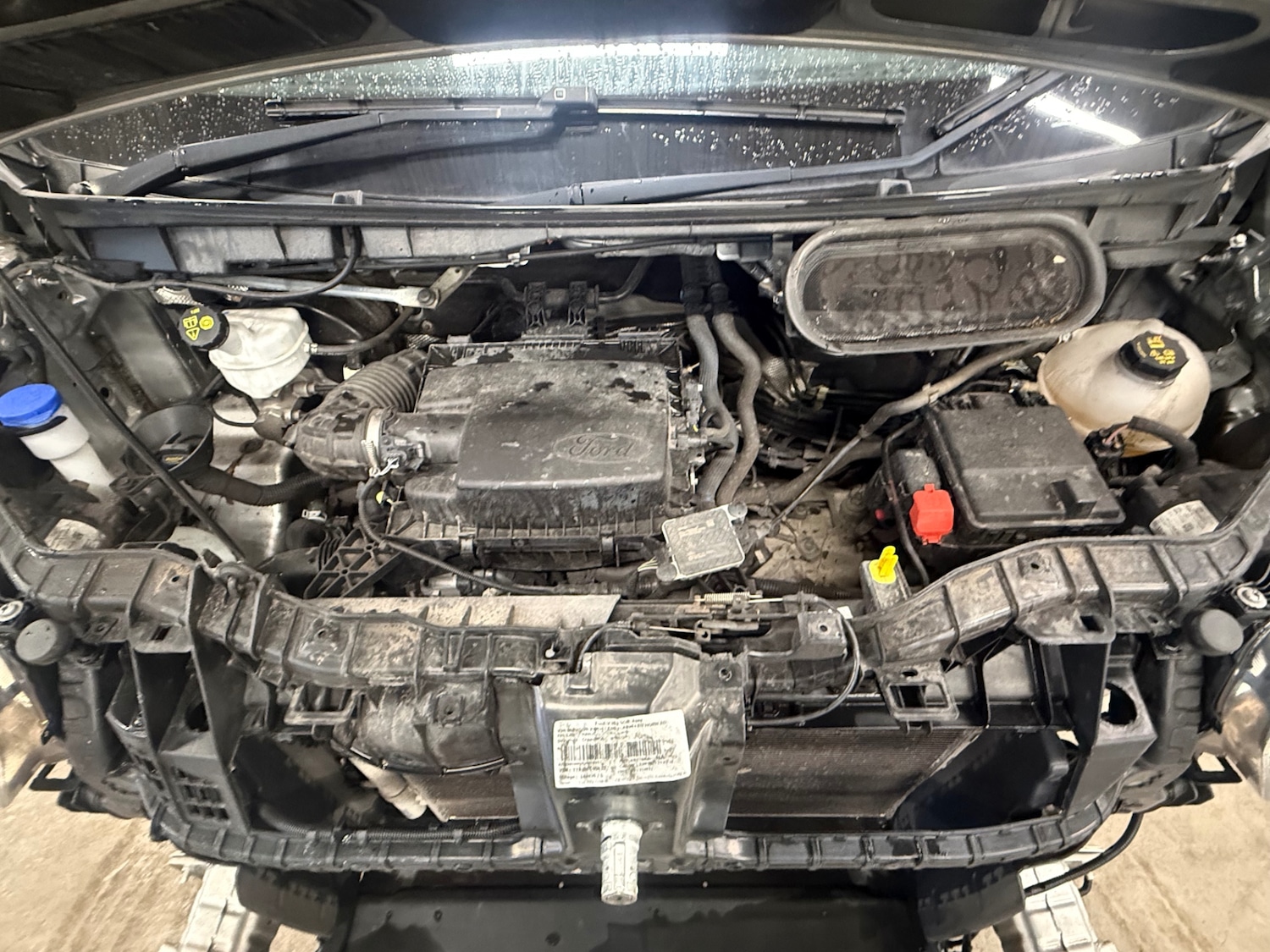 Used Ford Transit 2023 for sale - 77632660: Photo 13