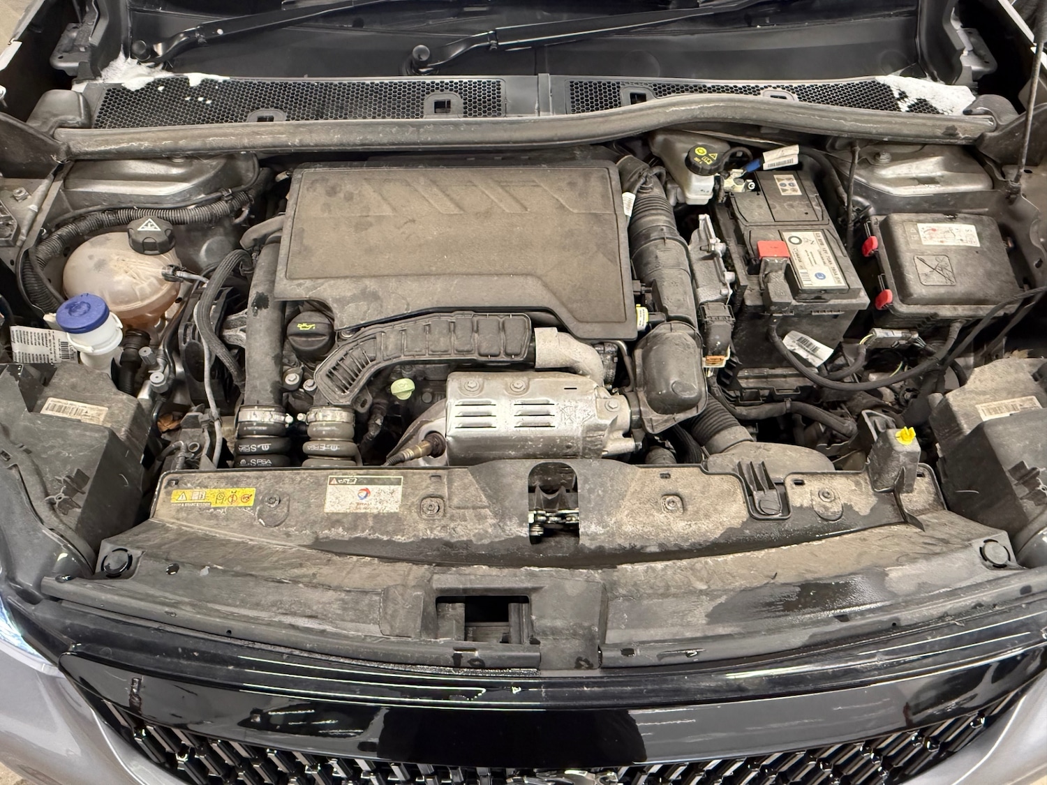 Used Peugeot 2008 2023 for sale - 77039226: Photo 10