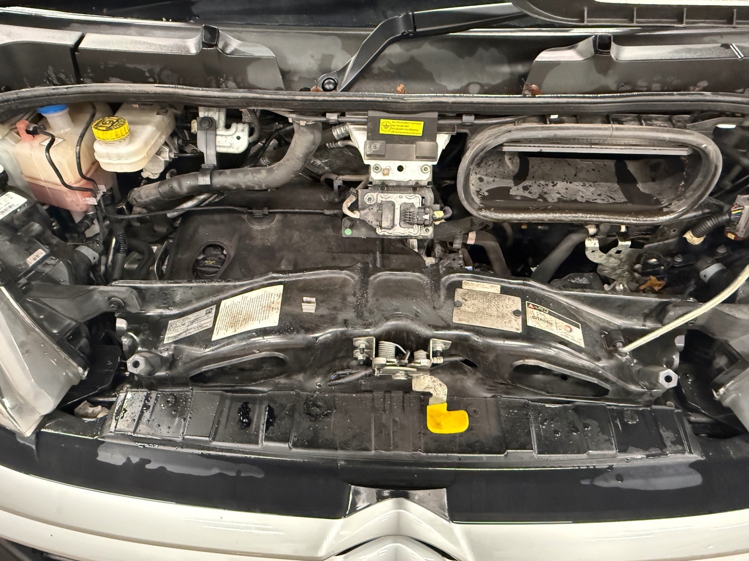 Used Citroen Relay 2023 for sale - 77154139: Photo 12