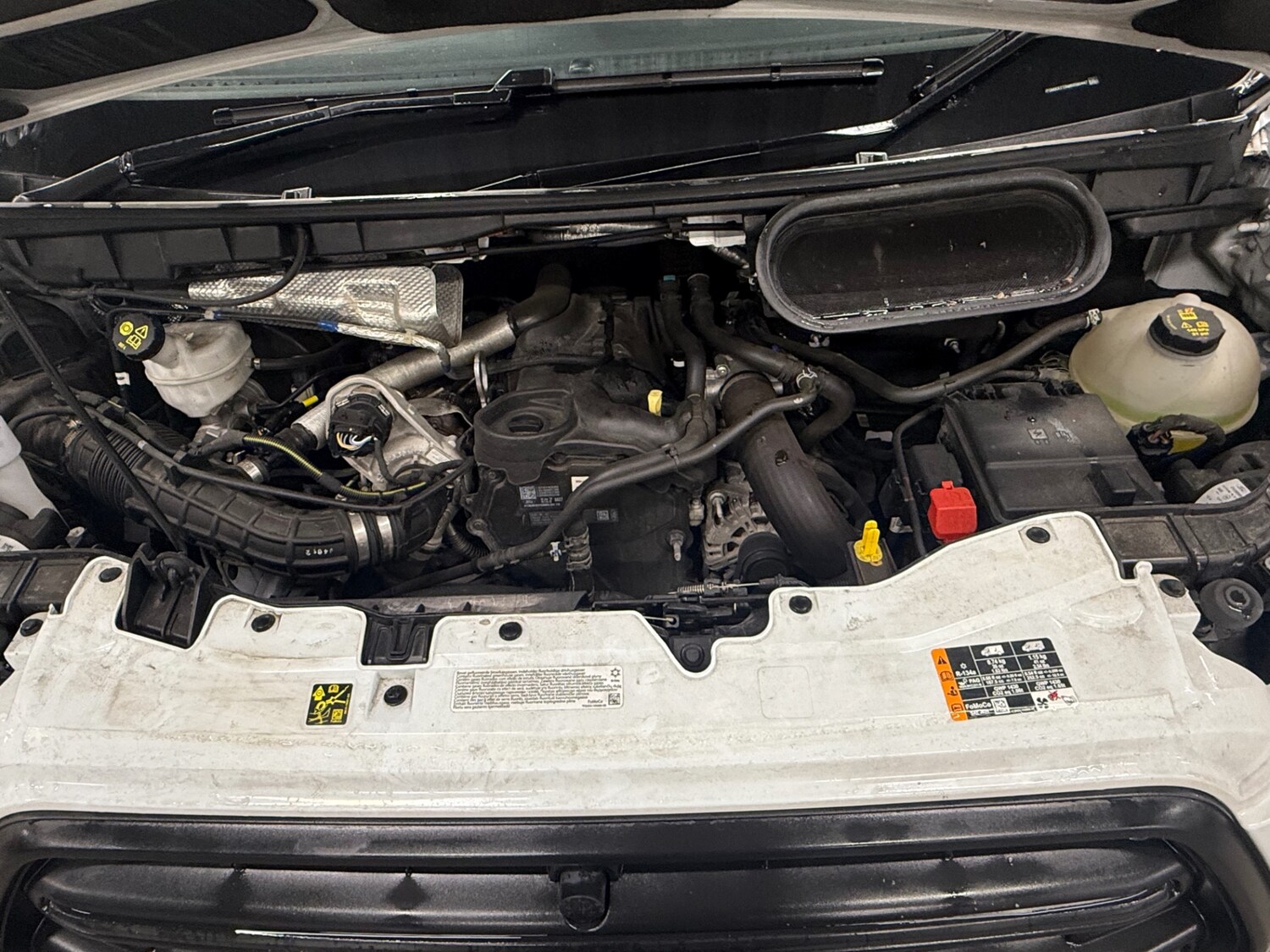 Used Ford Transit 2024 for sale - 76165374: Photo 13