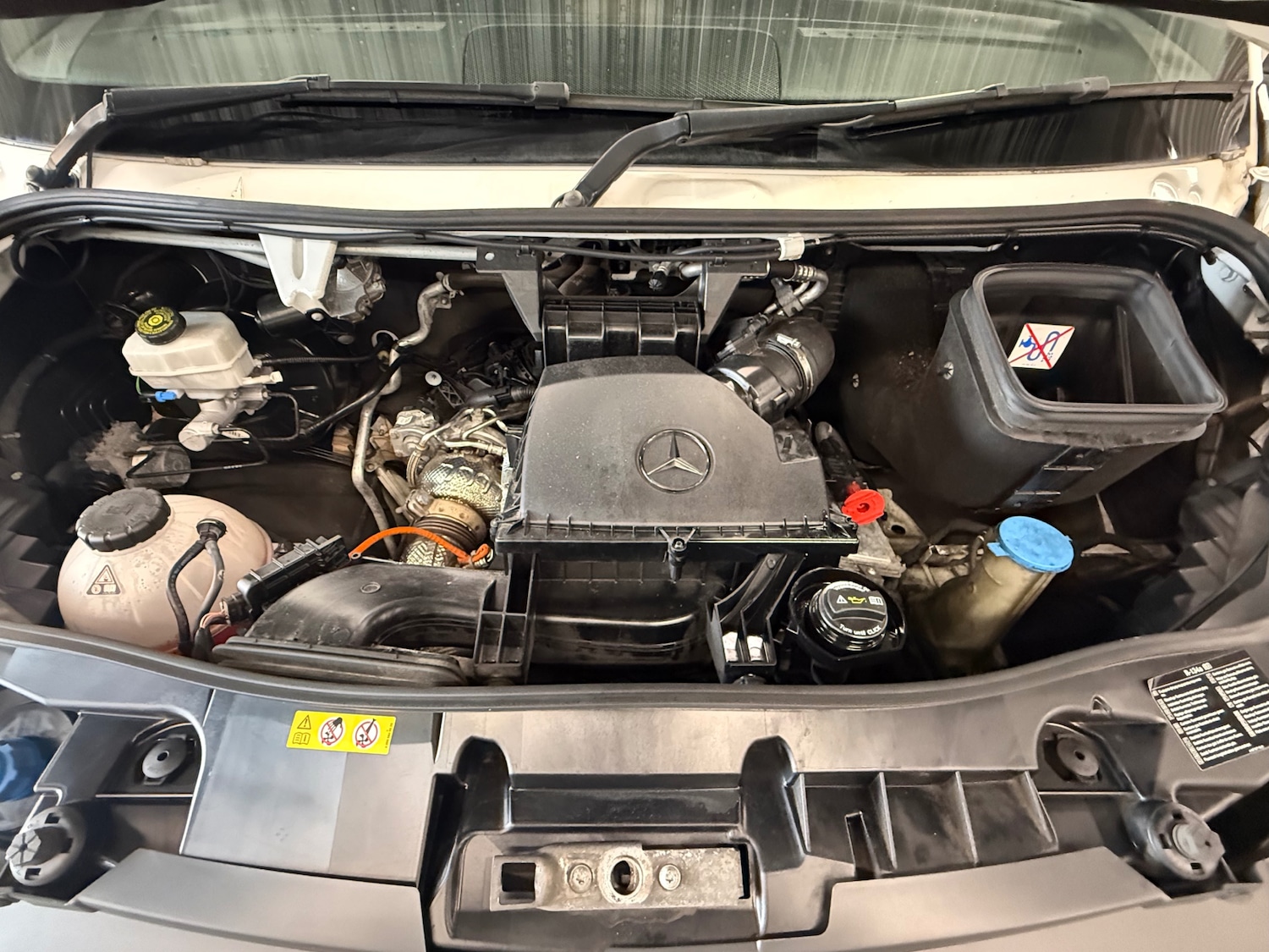 Used Mercedes-Benz Sprinter 2023 for sale - 77804157: Photo 11