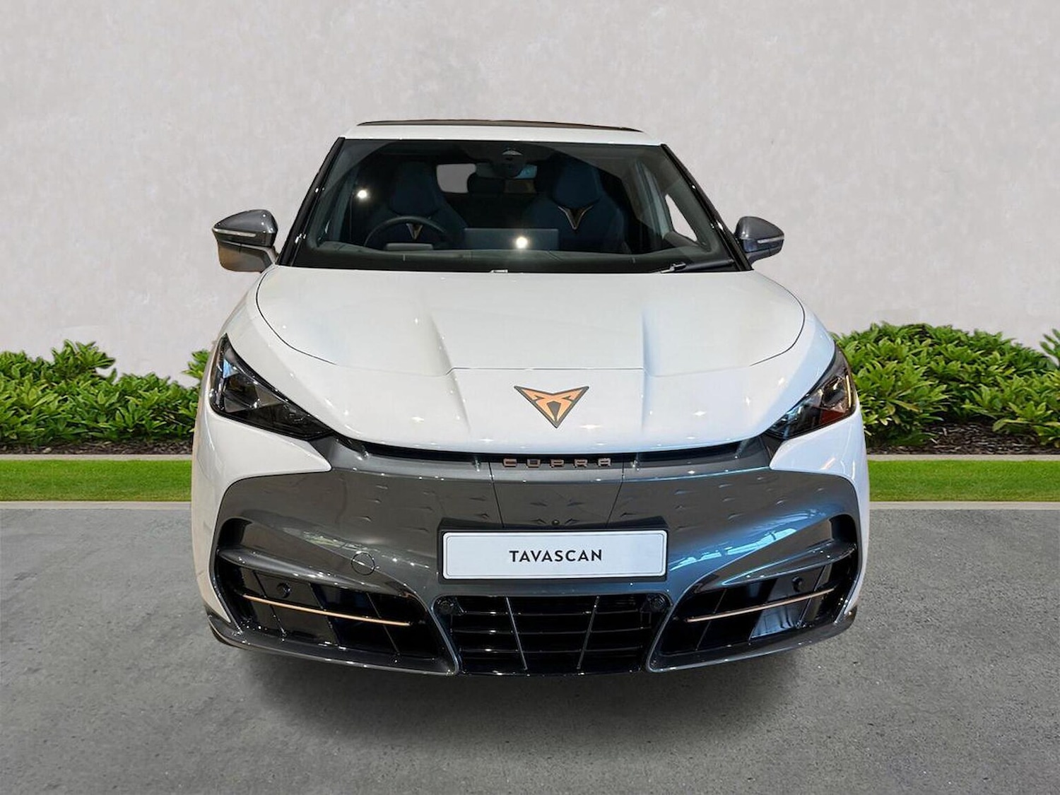 Used Cupra Tavascan 2025 for sale - 76638858: Photo 5