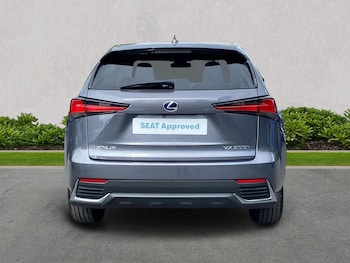 Used Lexus NX 2020 for sale - 79371976: Photo