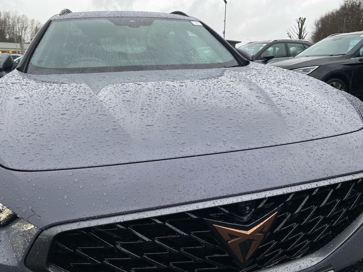 Used Cupra Formentor 2023 for sale - 78195669: Photo 35