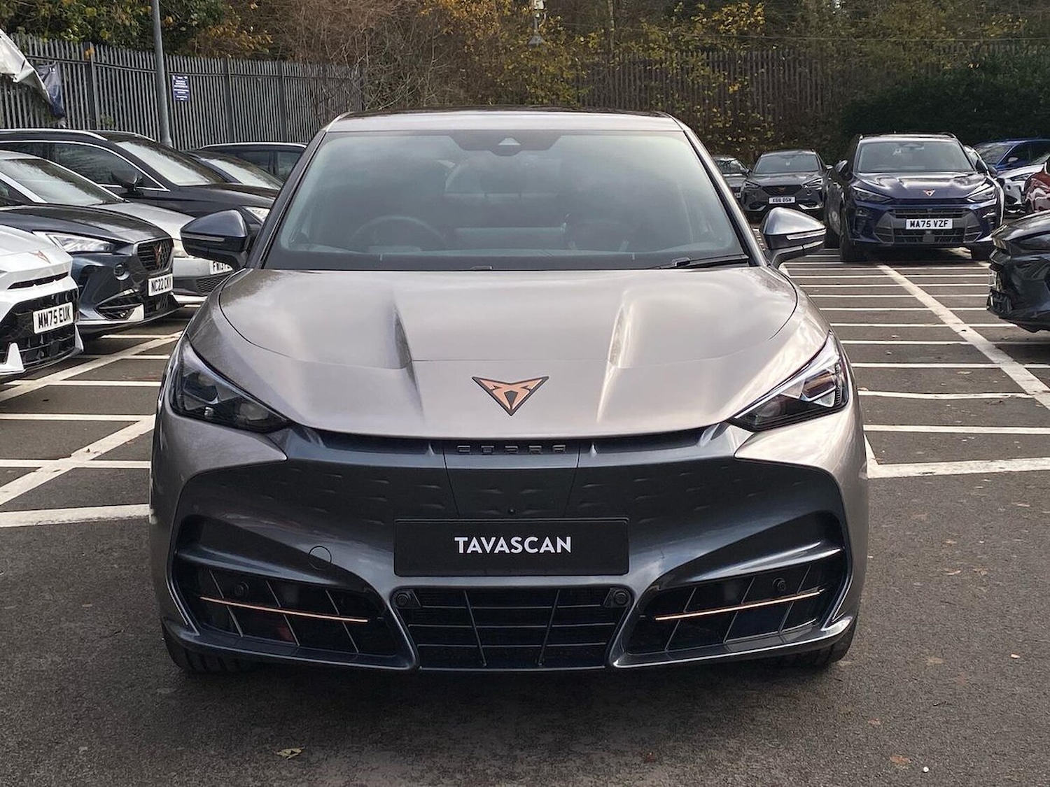 Used Cupra Tavascan 2025 for sale - 76897108: Photo 5