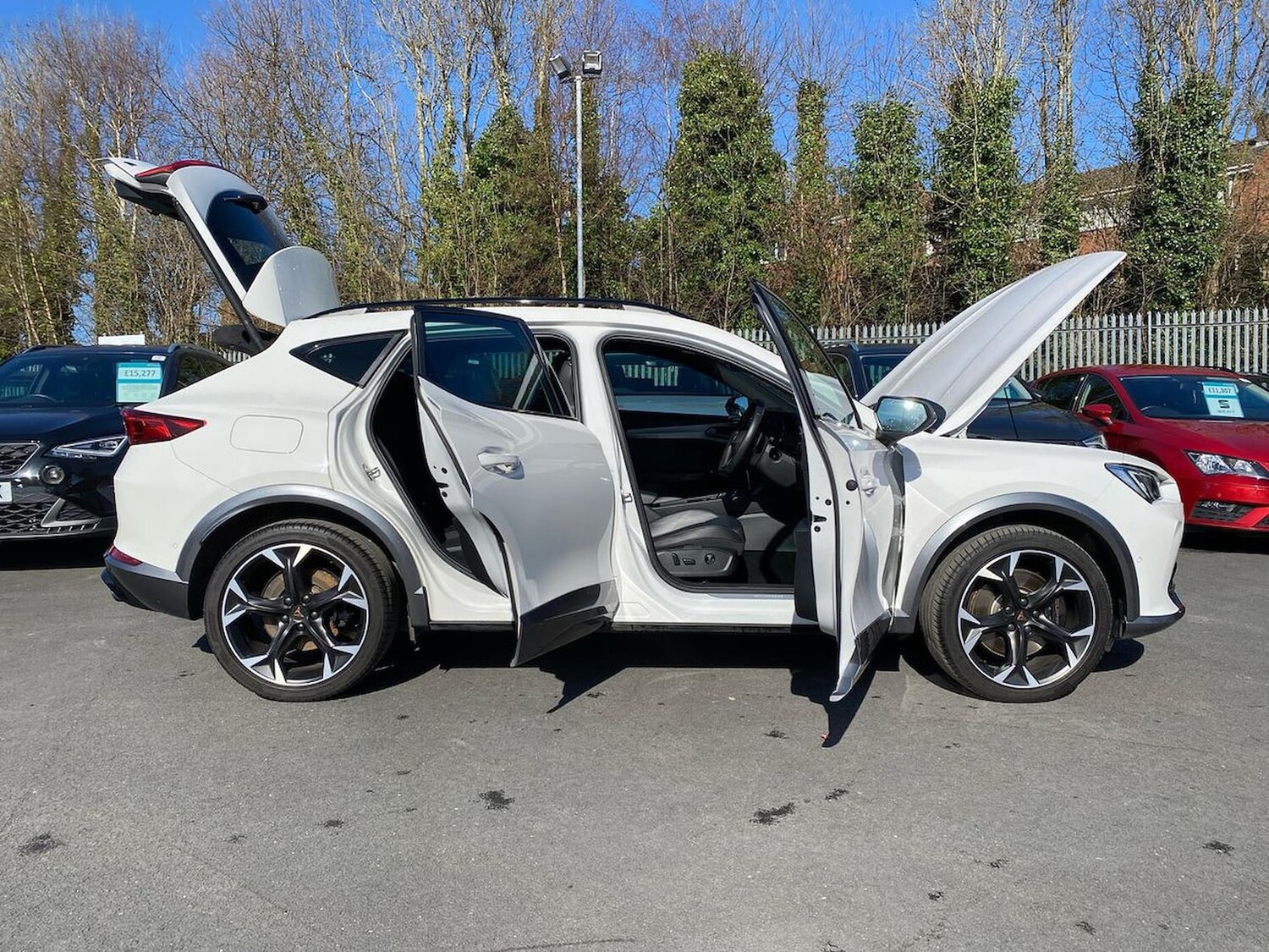 Used Cupra Formentor 2022 for sale - 78195618: Photo 42