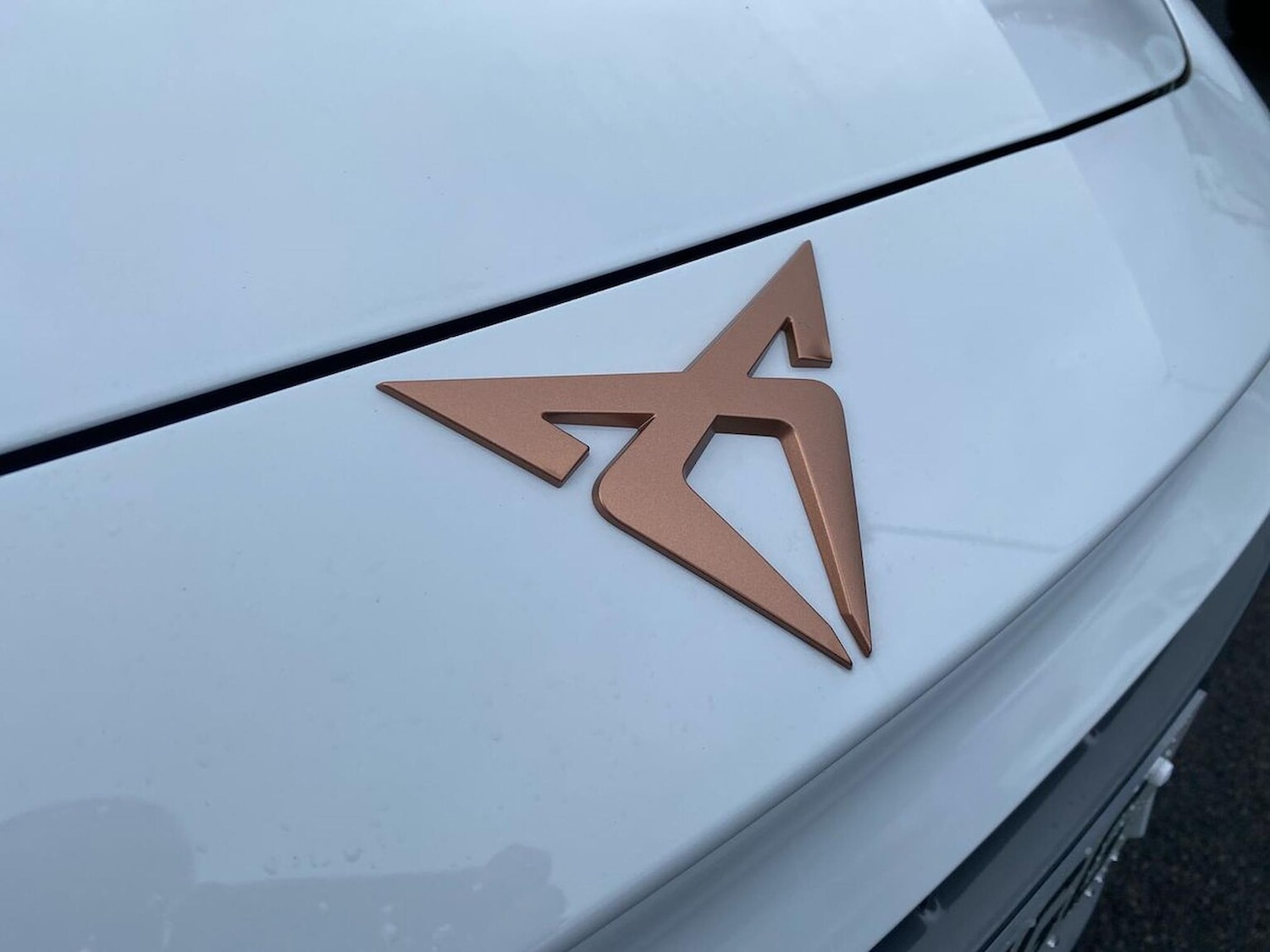 Used Cupra Leon 2026 for sale - 77802129: Photo 30