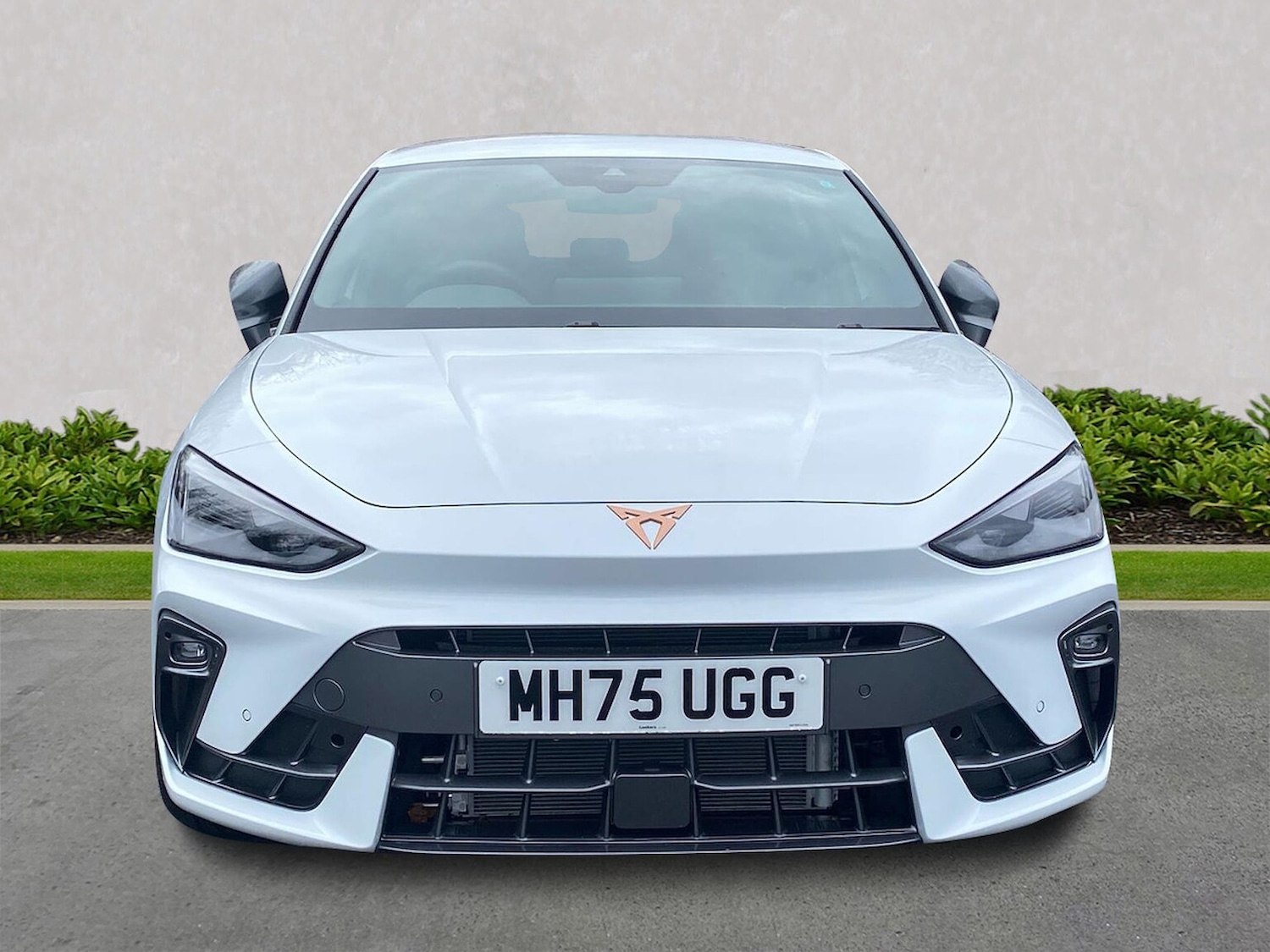 Used Cupra Leon 2026 for sale - 77802129: Photo 5