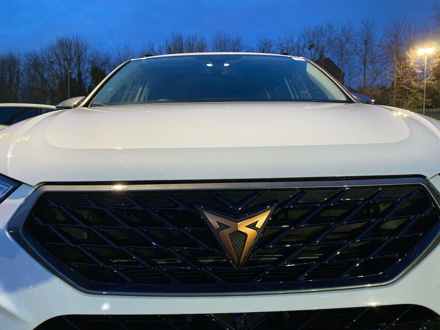 Used Cupra Ateca 2025 for sale - 77775131: Photo 33