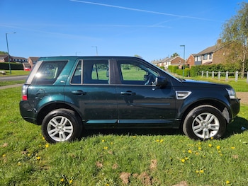 Used Land Rover Freelander 2014 for sale - 78420455: Photo