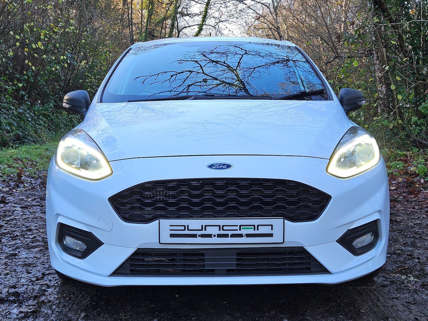 Used Ford Fiesta for sale - 78100745: Photo 2