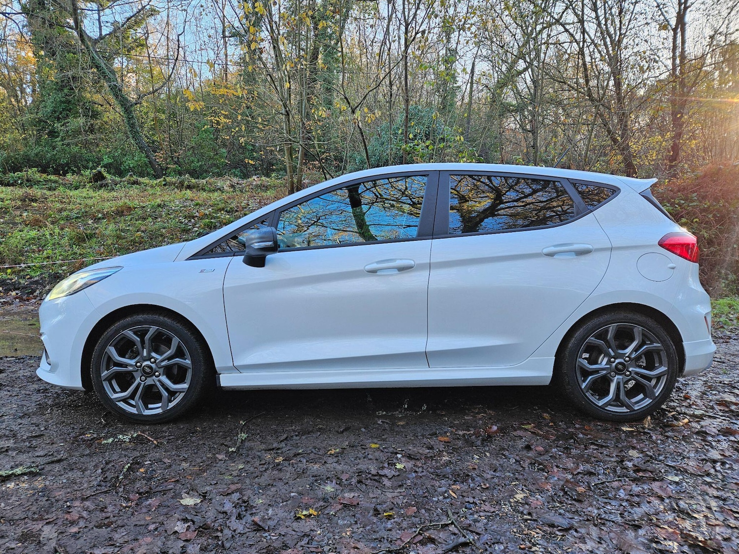 Used Ford Fiesta for sale - 78100745: Photo 5