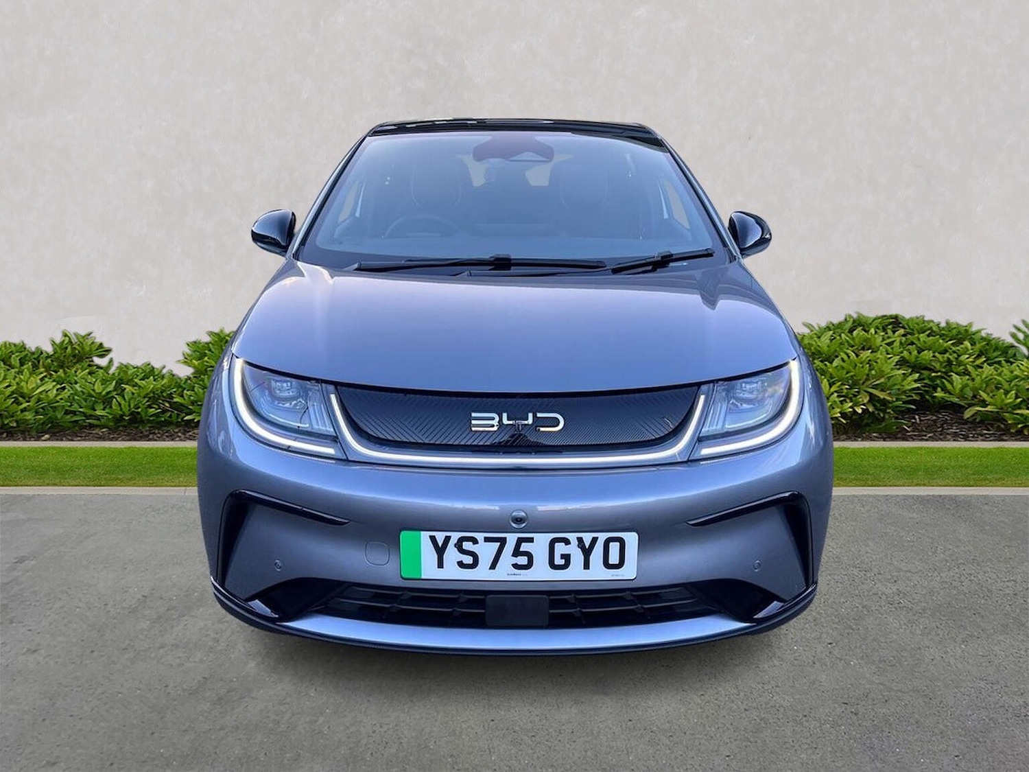 Used BYD Dolphin 2025 for sale - 76770085: Photo 5