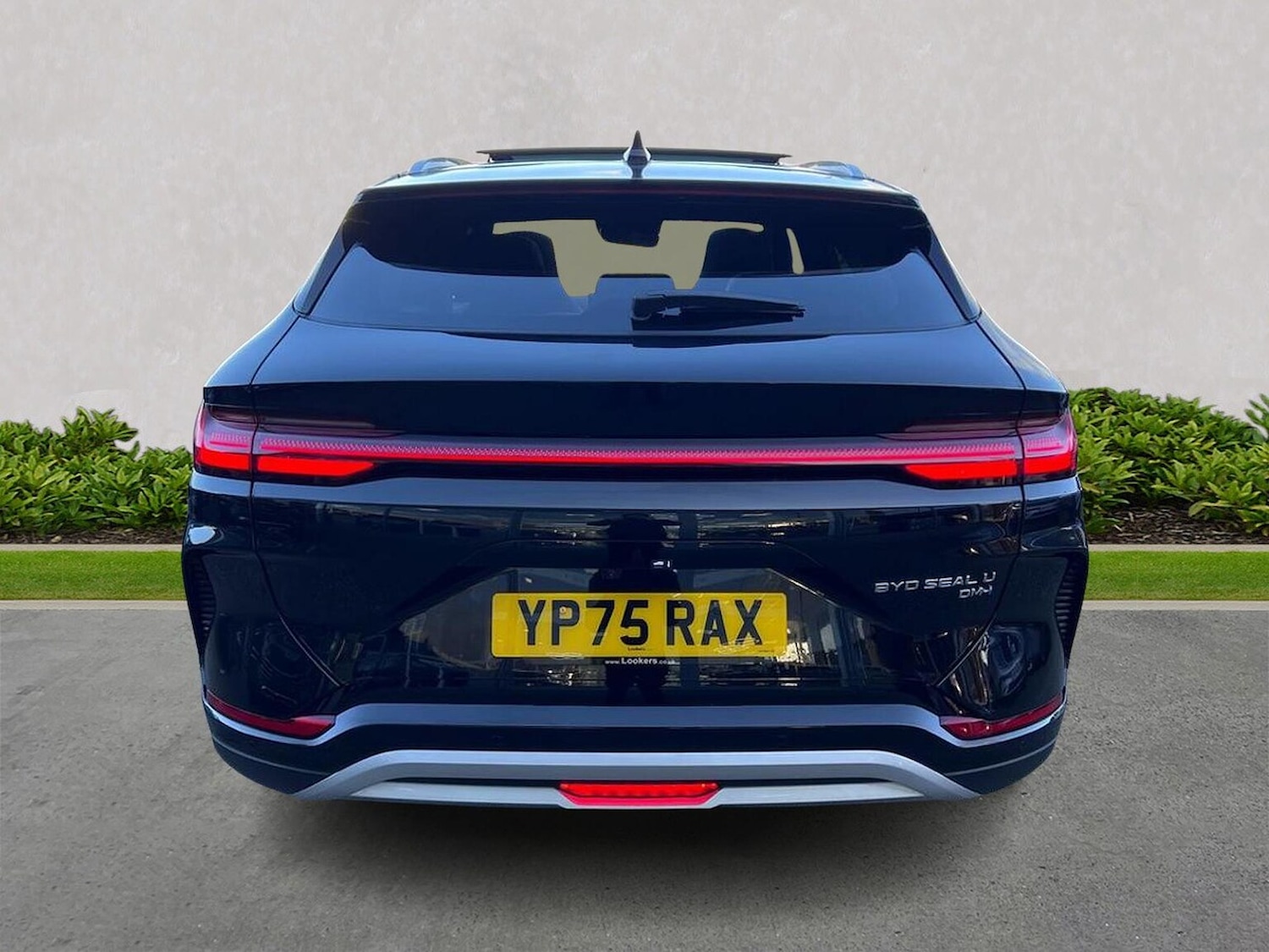 Used BYD Seal U 2025 for sale - 77489433: Photo 4