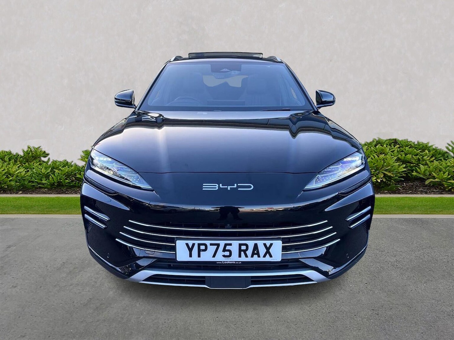 Used BYD Seal U 2025 for sale - 77489433: Photo 5