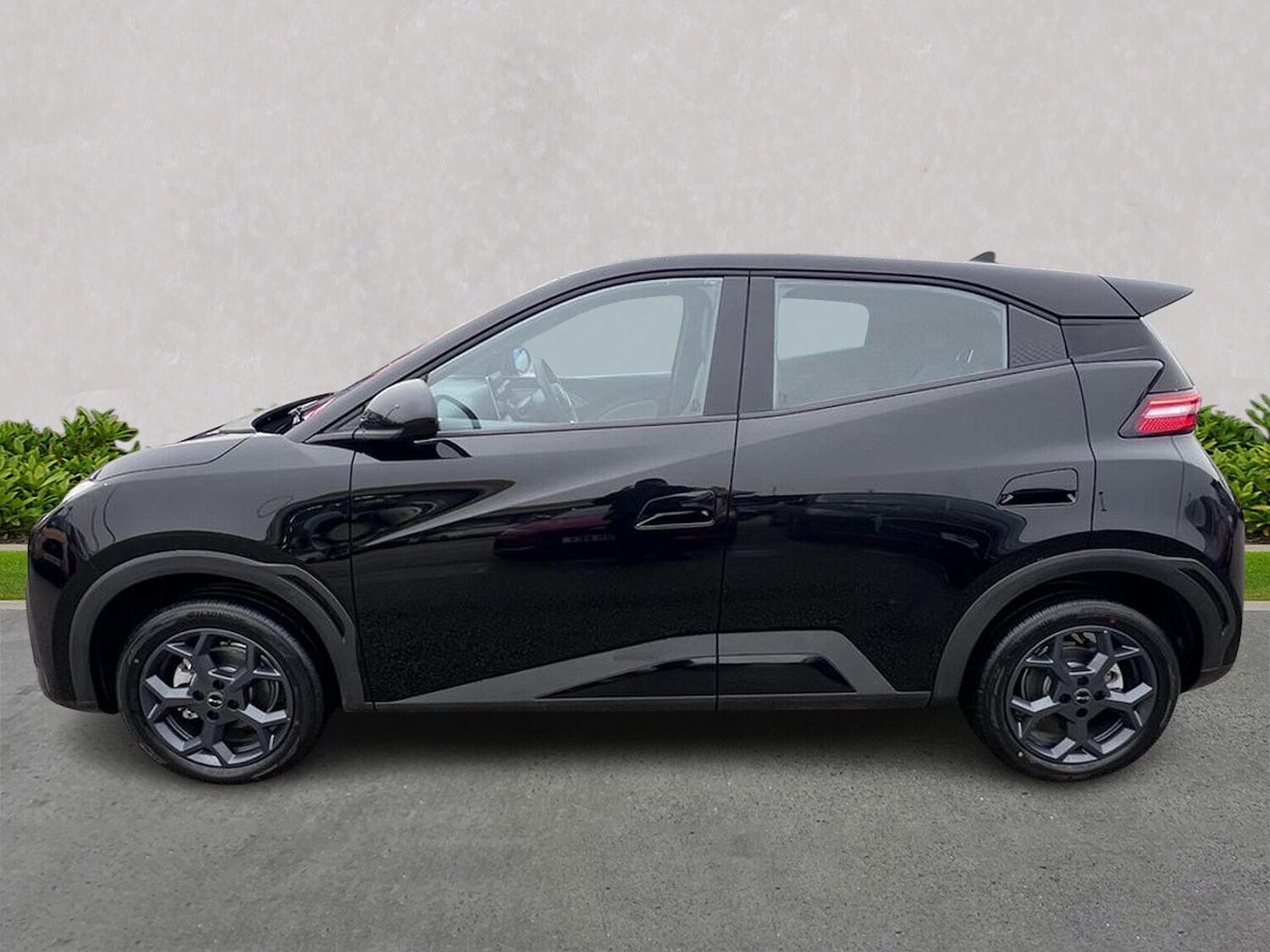 Used BYD Dolphin 2026 for sale - 77896320: Photo 19