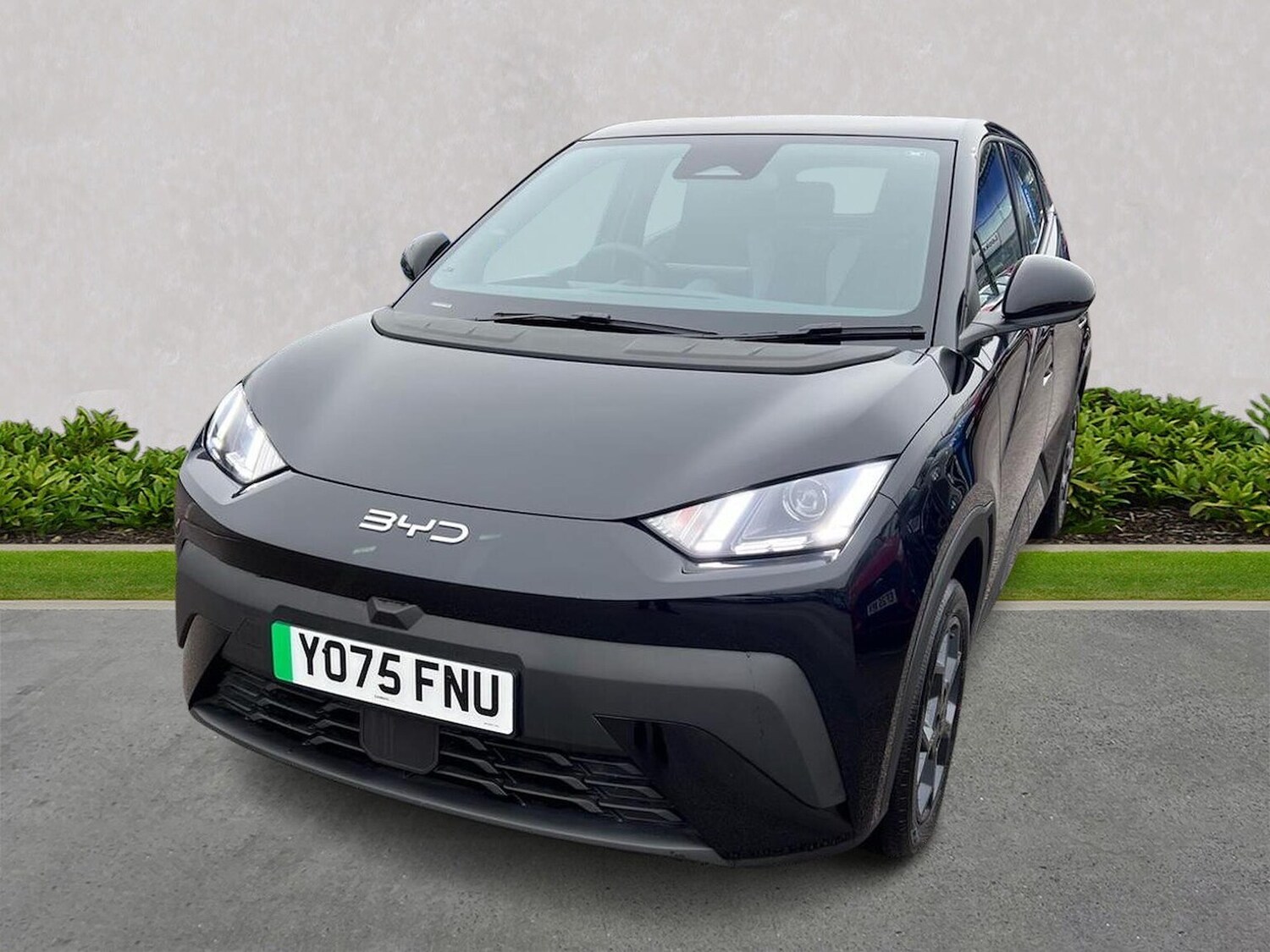 Used BYD Dolphin 2026 for sale - 77896320: Photo 20