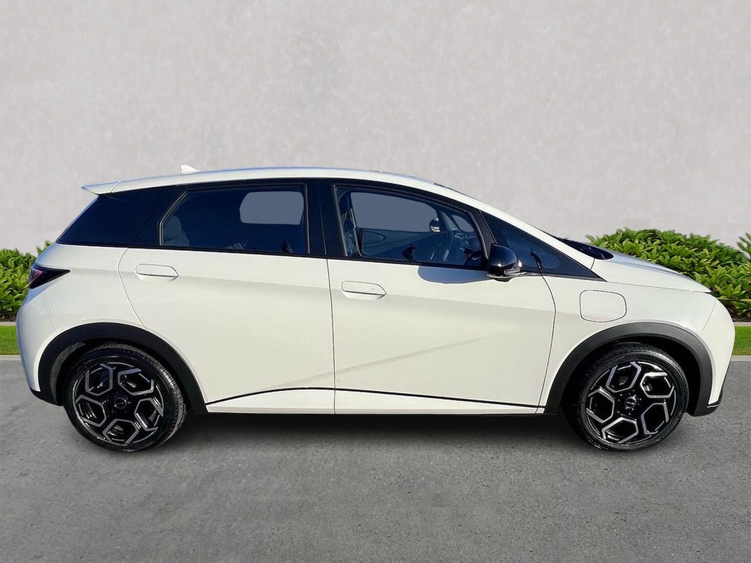 Used BYD Dolphin 2025 for sale - 76945916: Photo 3