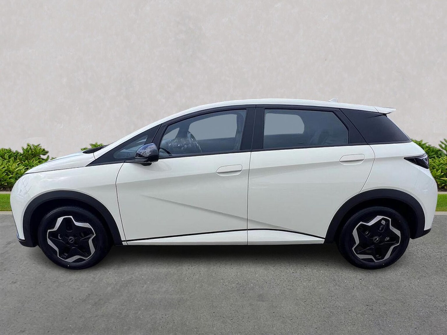 Used BYD Dolphin 2025 for sale - 77489469: Photo 19