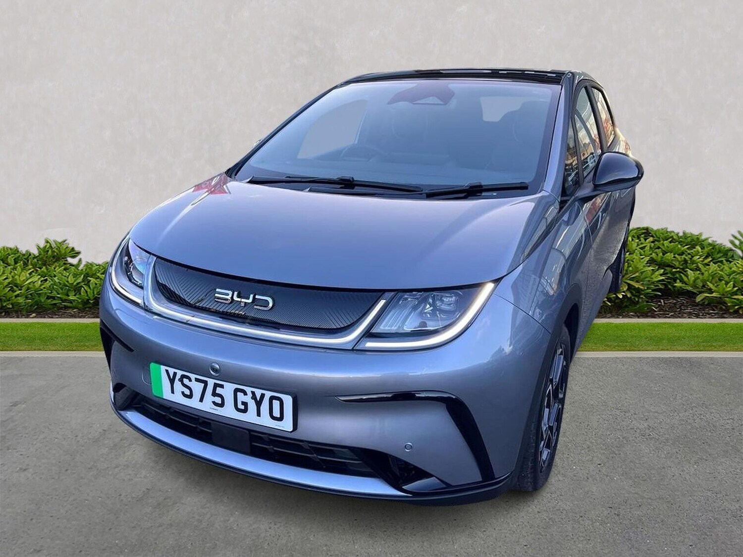 Used BYD Dolphin 2025 for sale - 77489426: Photo 20