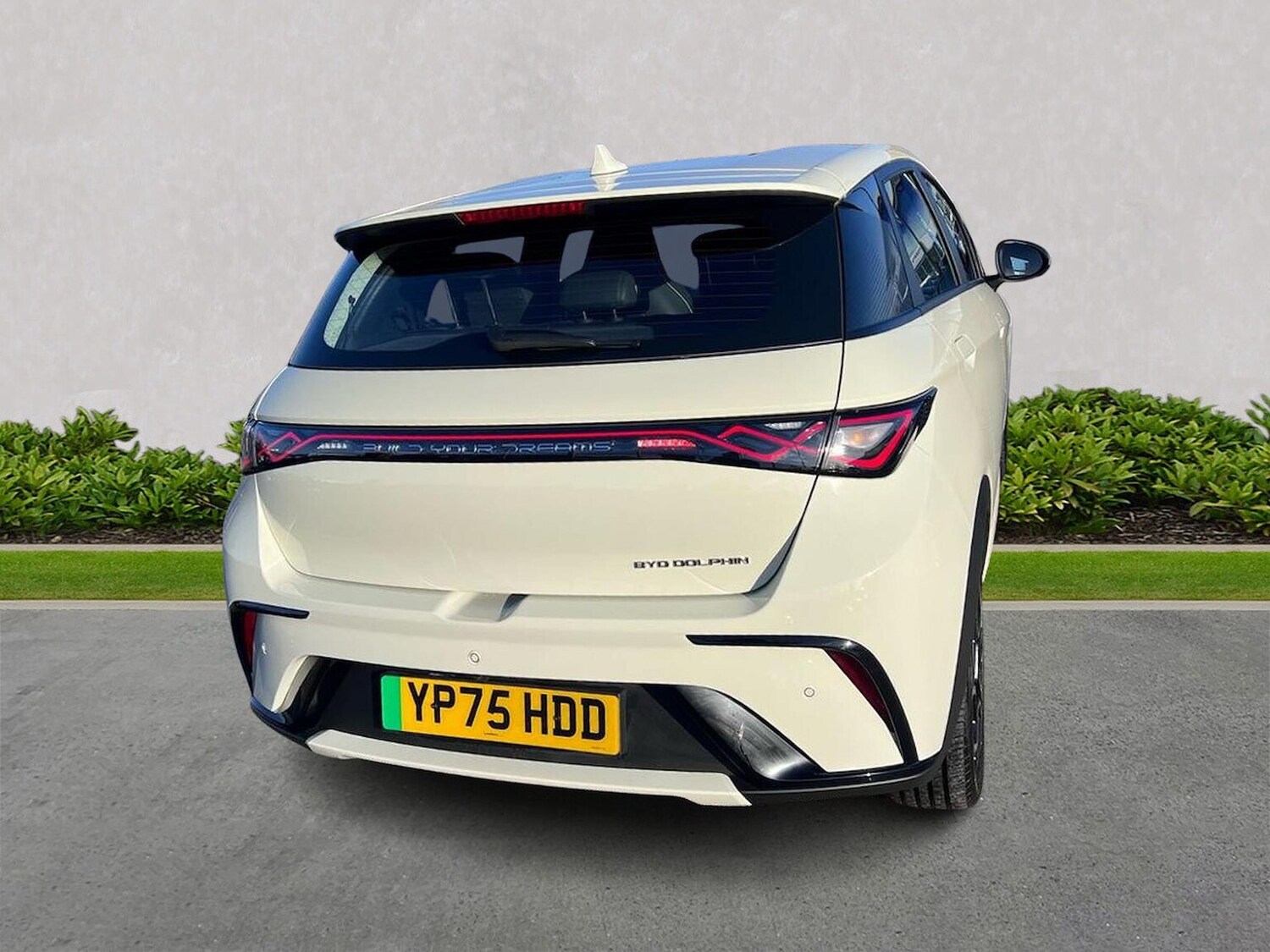 Used BYD Dolphin 2025 for sale - 77489476: Photo 18