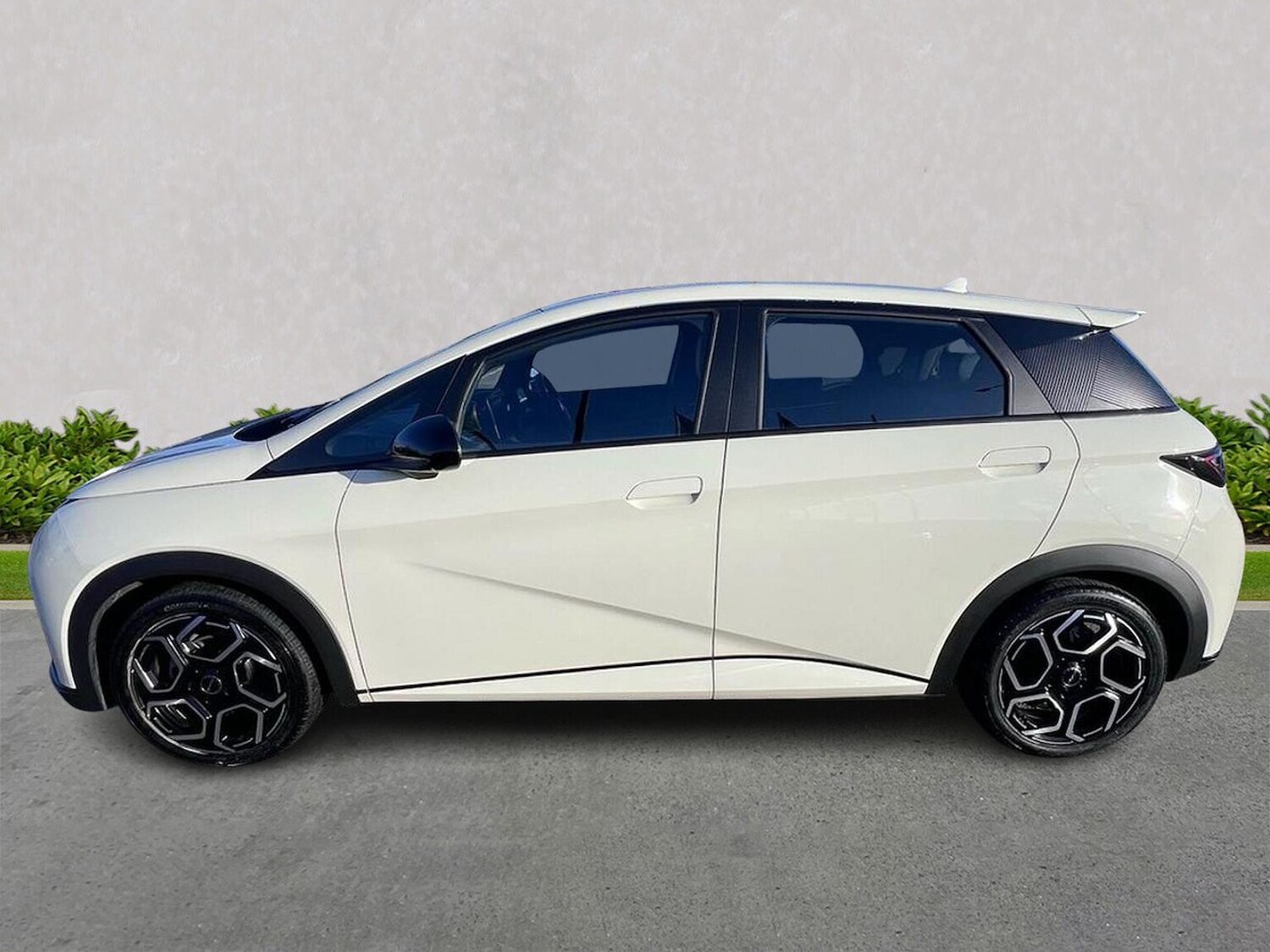 Used BYD Dolphin 2025 for sale - 77489476: Photo 19