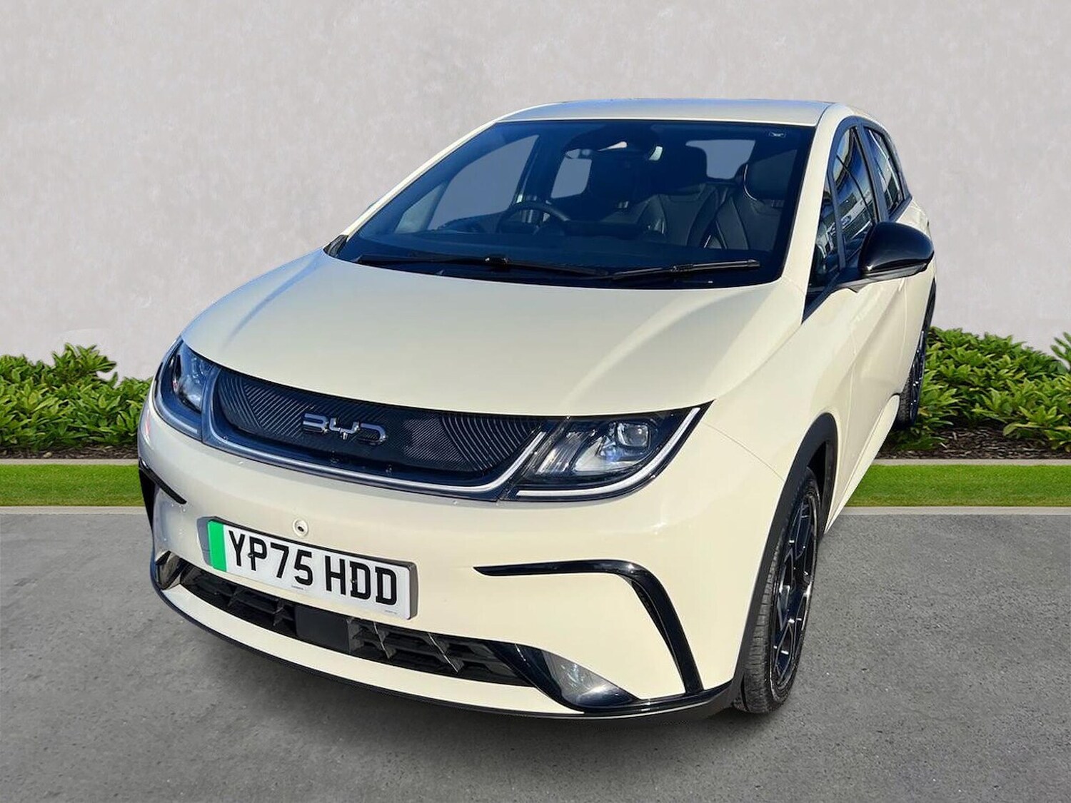 Used BYD Dolphin 2025 for sale - 77489476: Photo 20