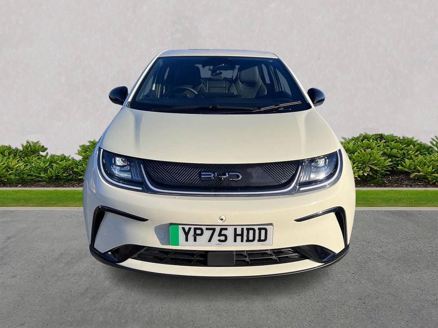 Used BYD Dolphin 2025 for sale - 77489476: Photo 5