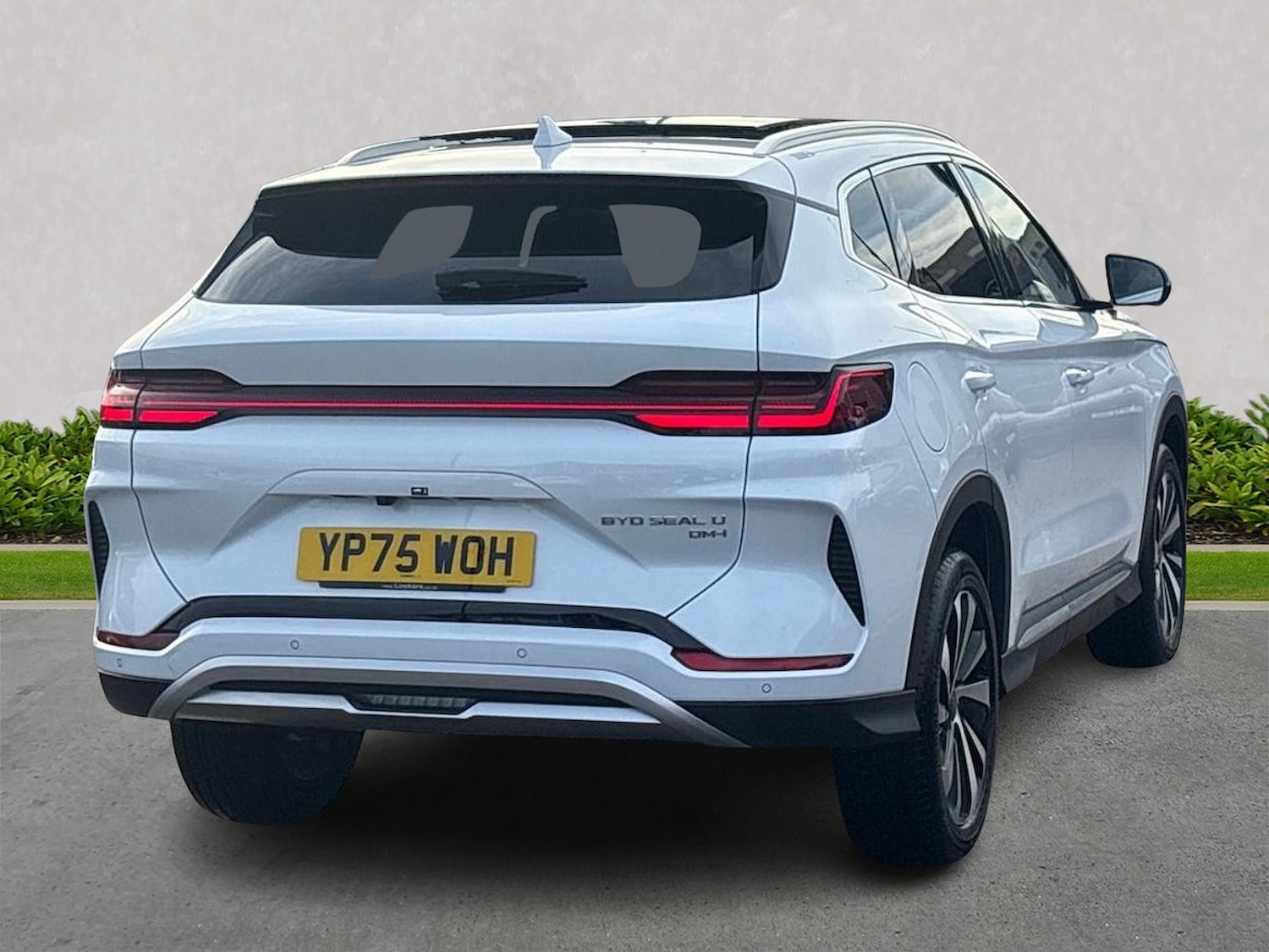 Used BYD Seal U 2025 for sale - 76969045: Photo 18