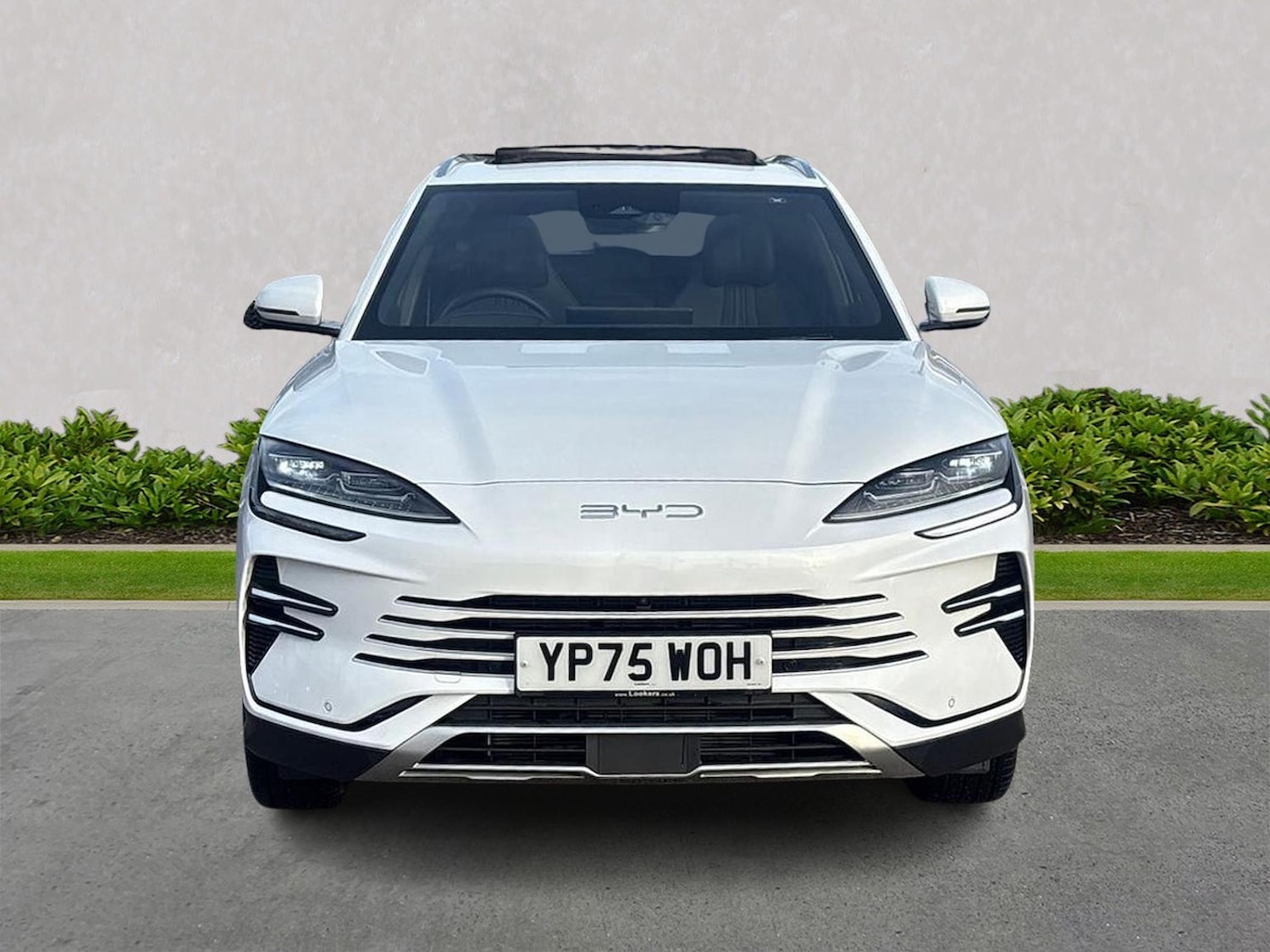 Used BYD Seal U 2025 for sale - 76969045: Photo 5